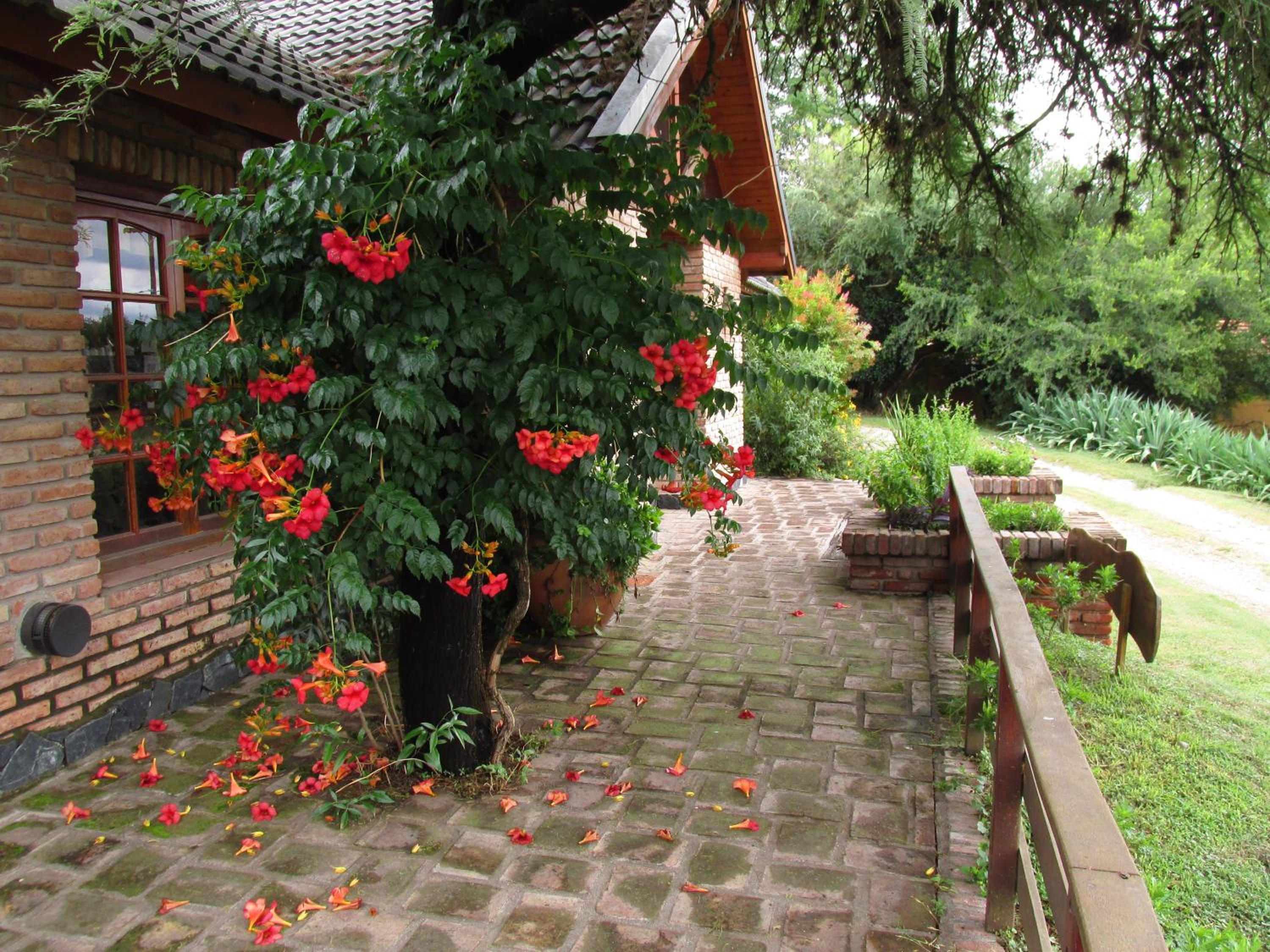 Cabañas Mirasoles