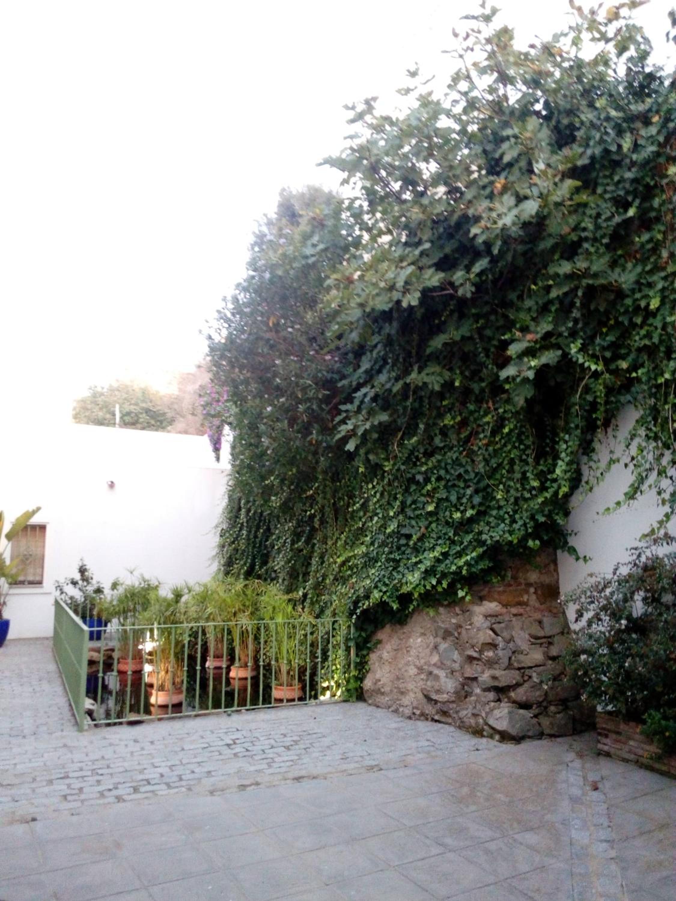 Photo 43