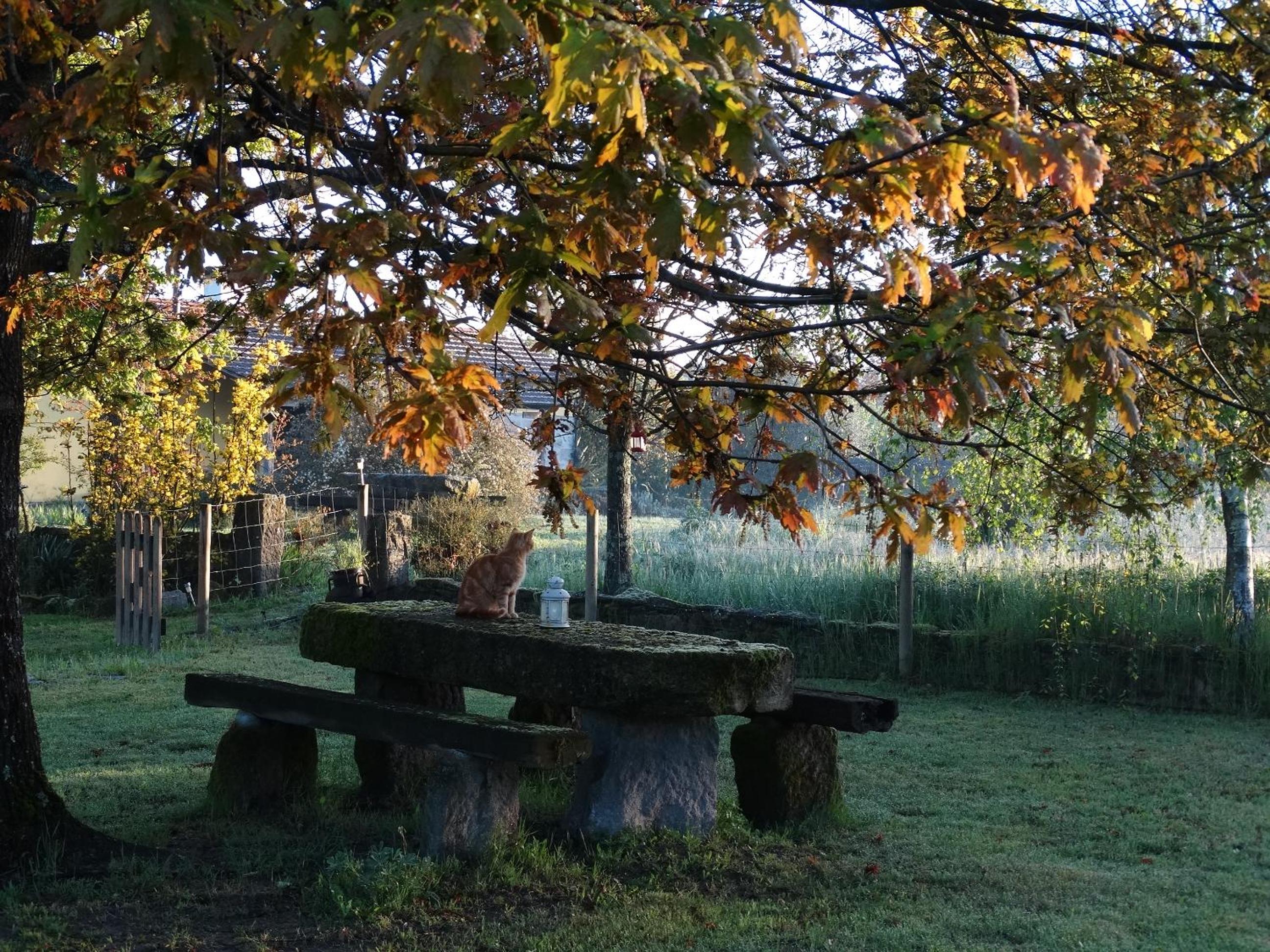 Casa Das Palmeiras-Pedagogic Farm