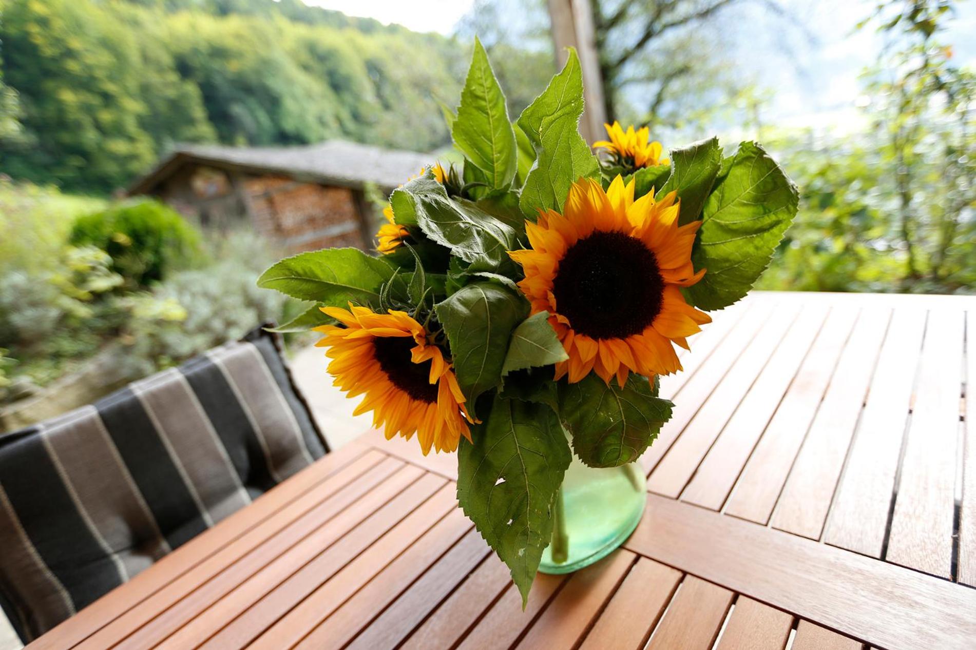 Chalet Christl Panorama Appartements