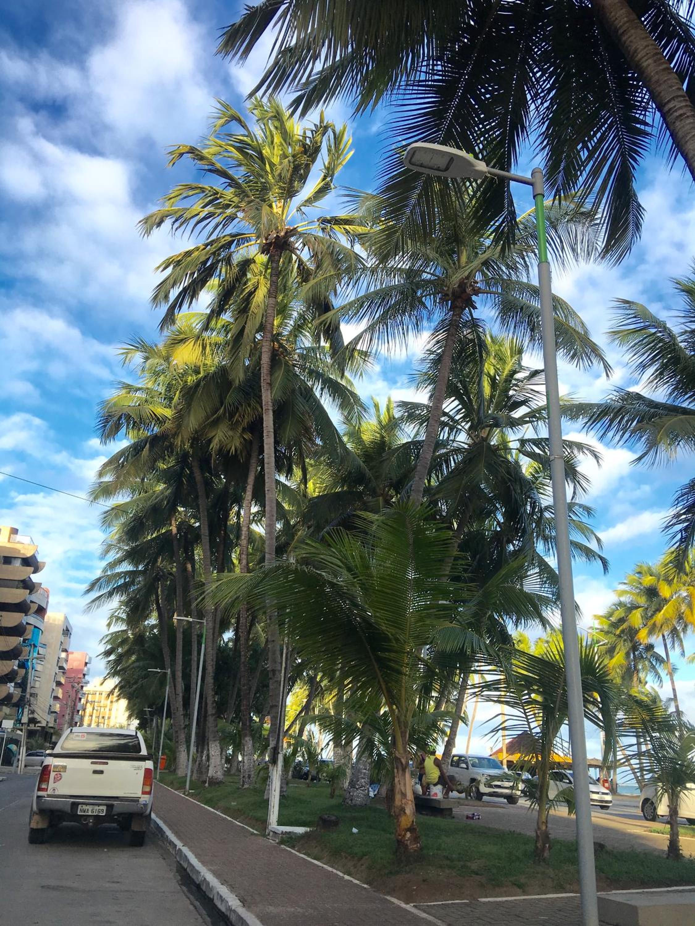 Apartamentos Praia de Pajucara