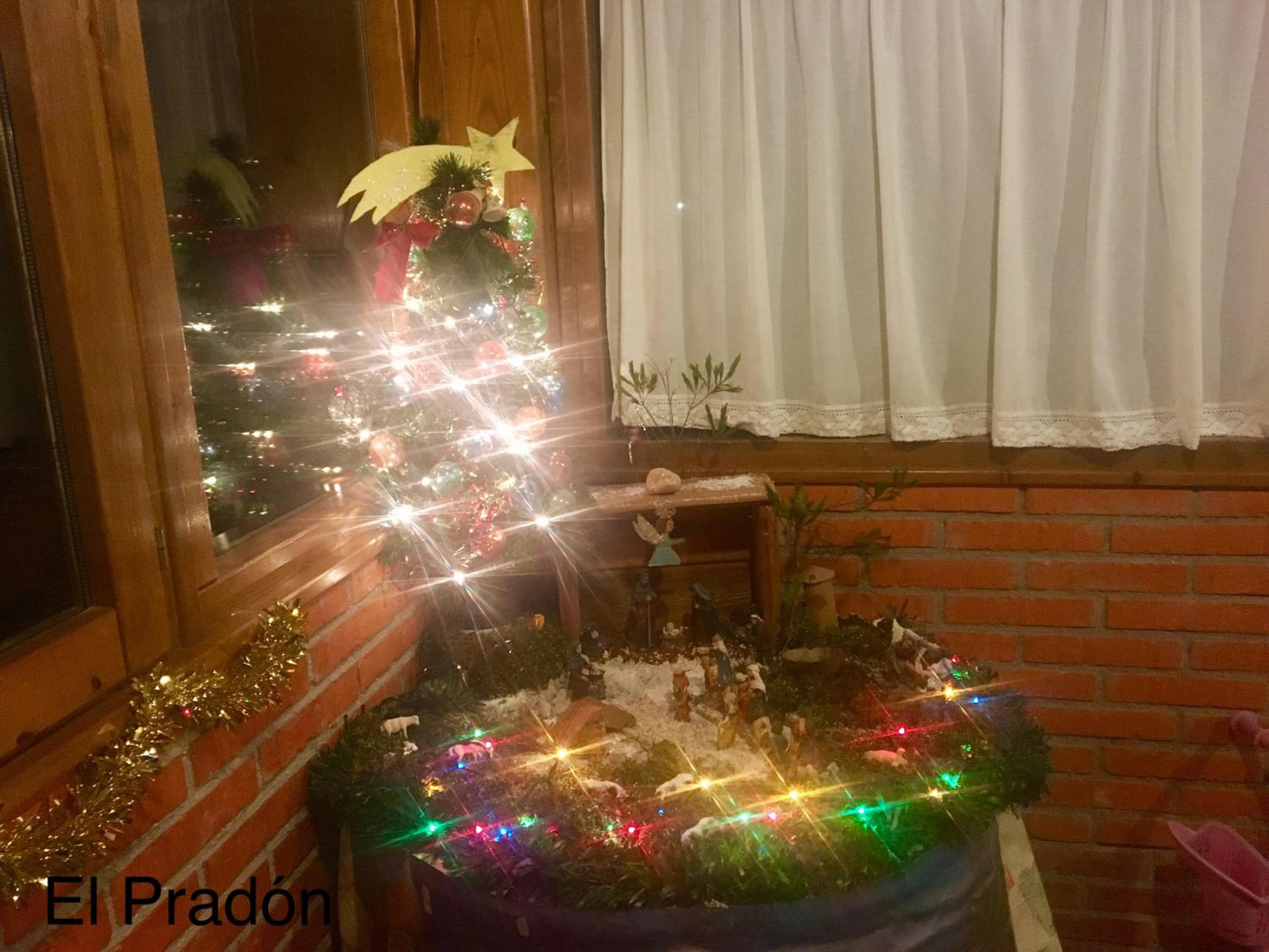 Photo 40