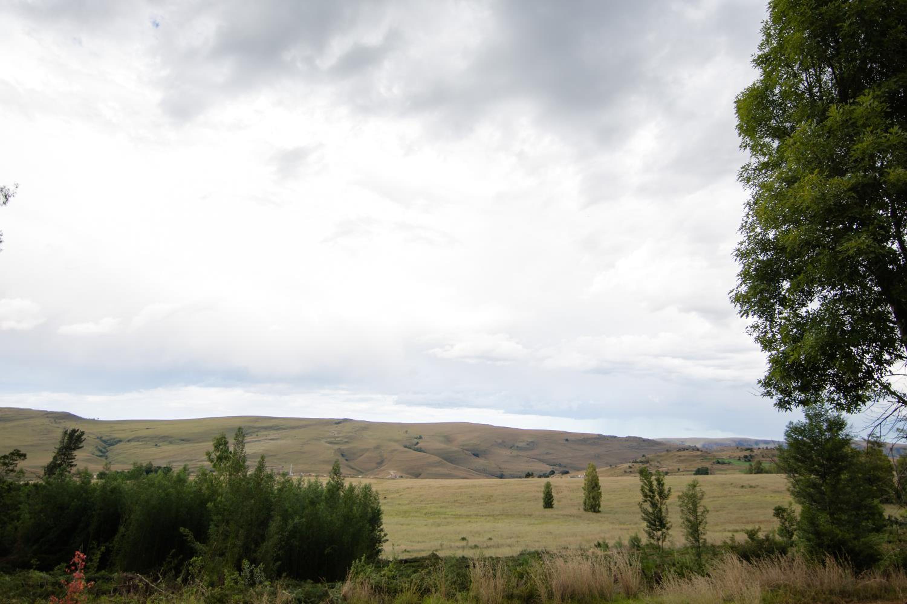 Photo 41