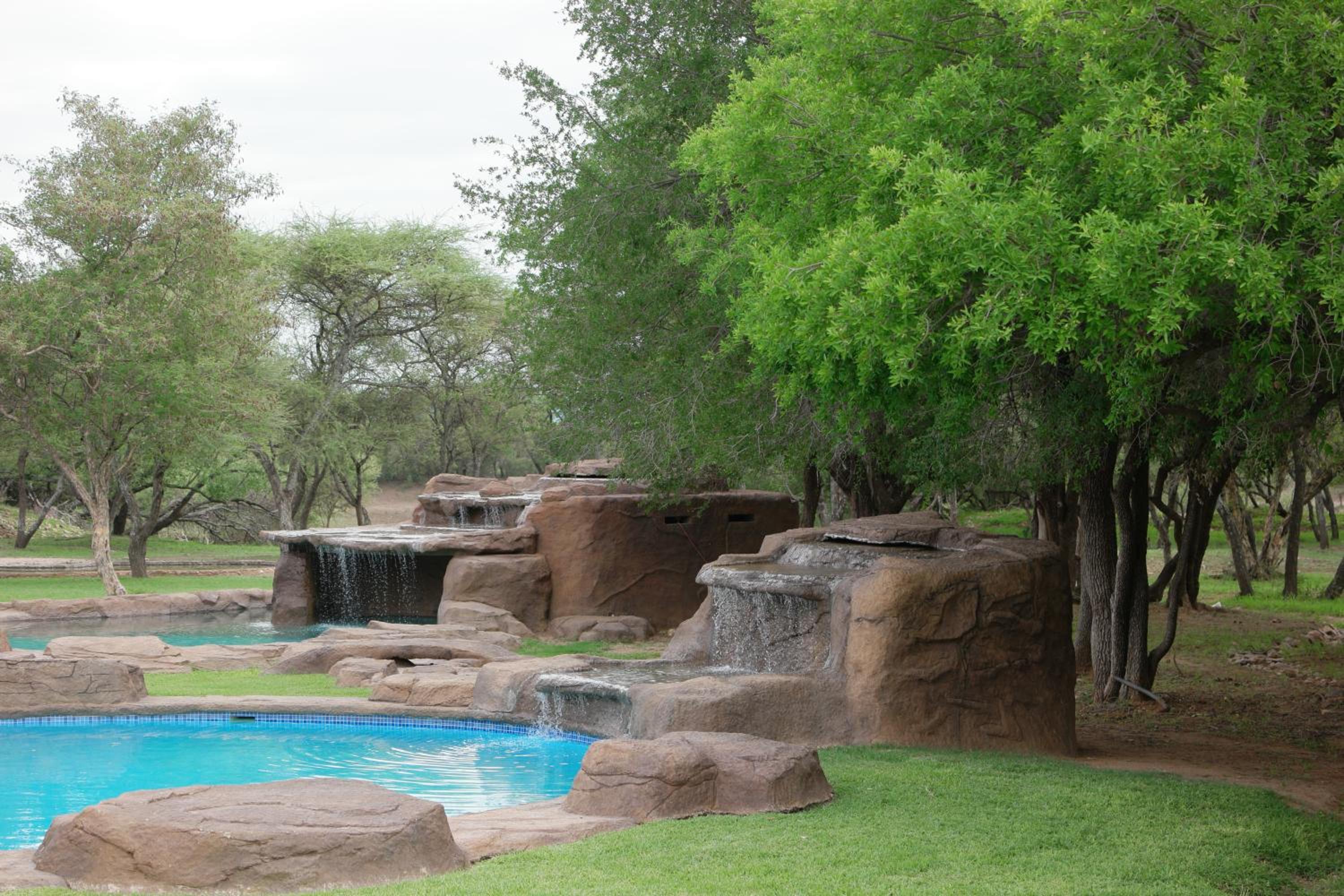 Thabaledi Game Lodge
