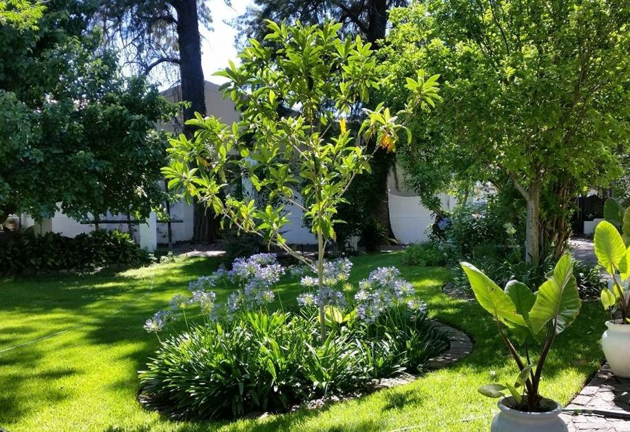 Little Green World, photo 10