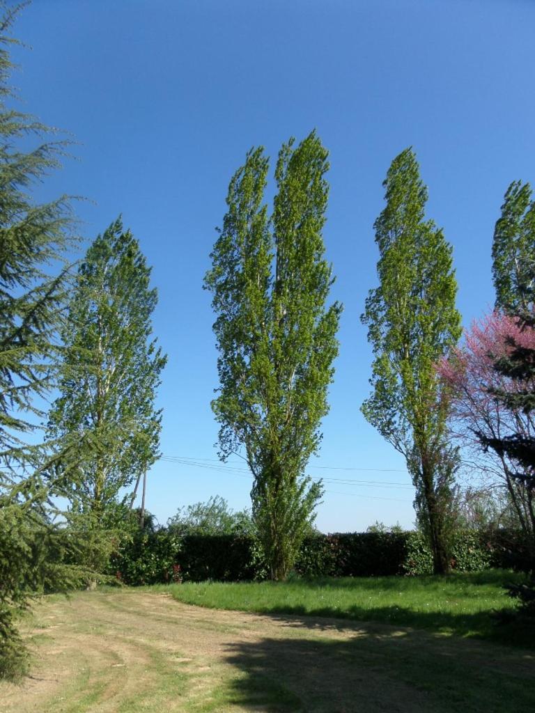 La Roseraie photo 3