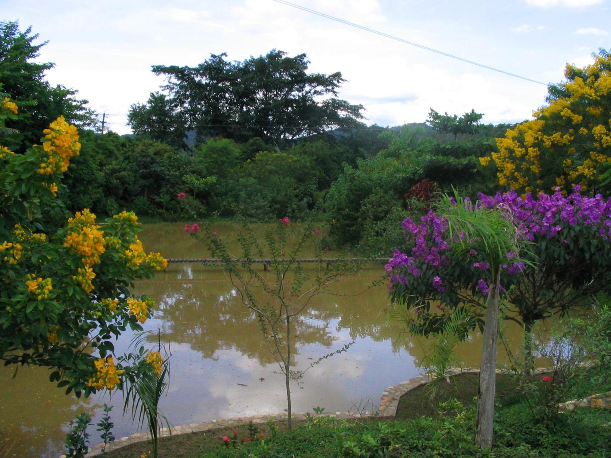 Pousada Casa de Pedra