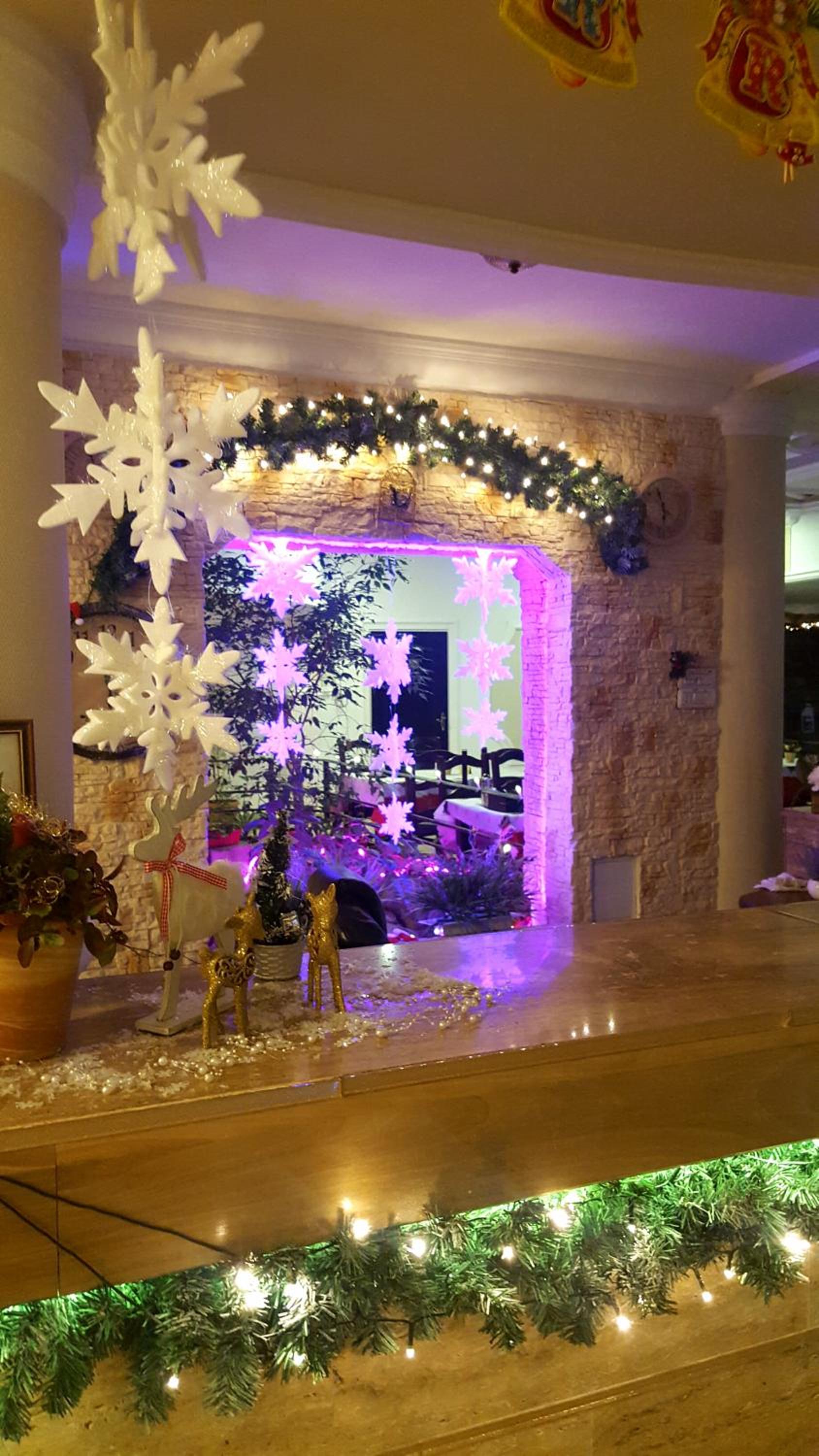 Hotel Elisabeta