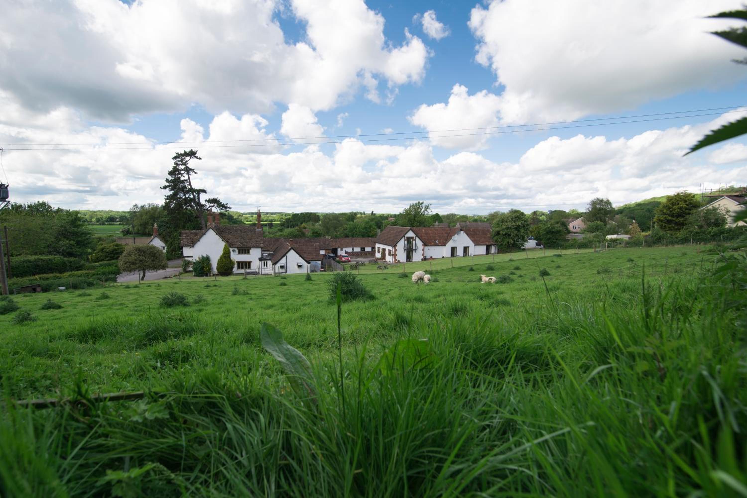 The White Horse Inn