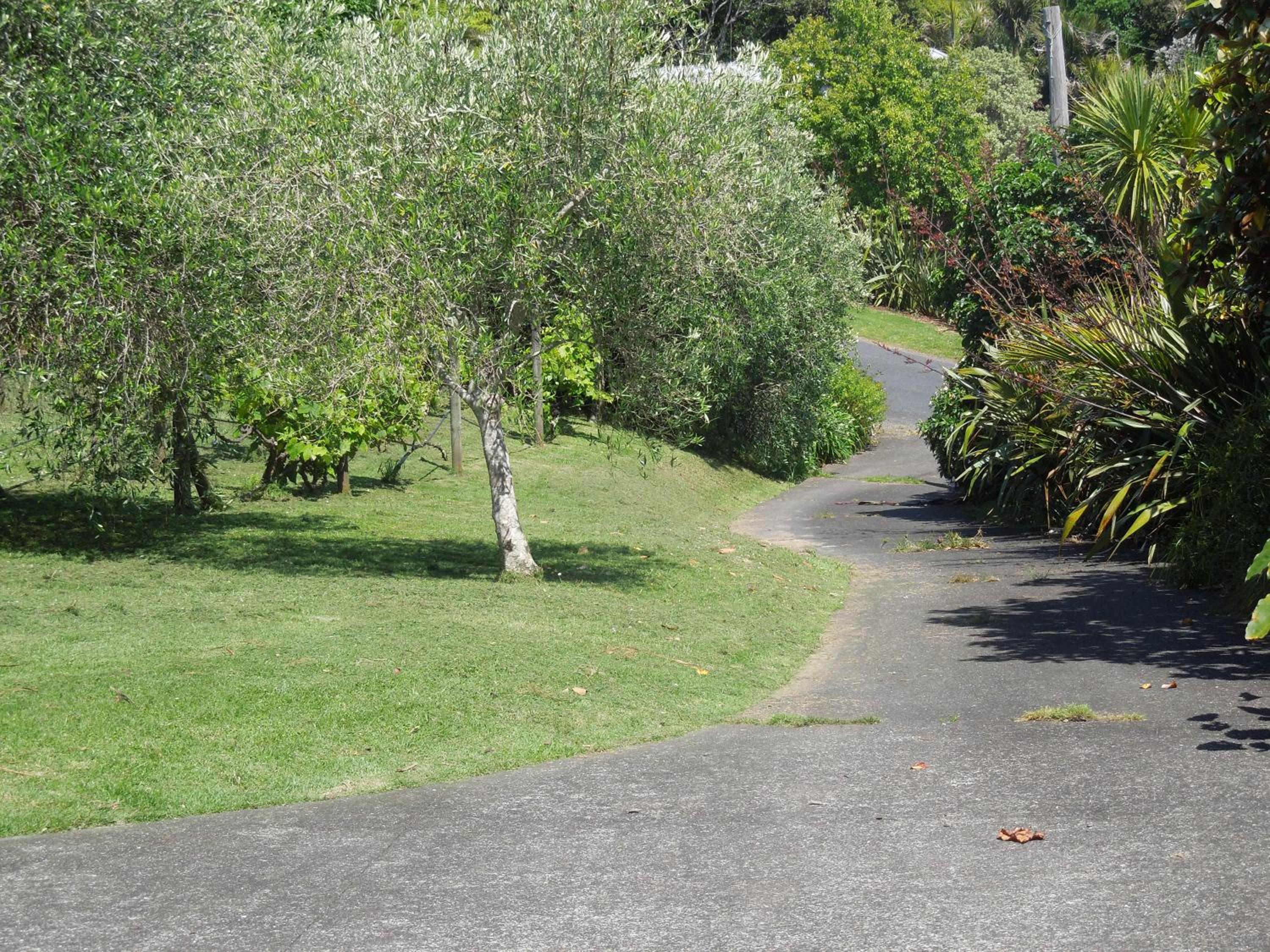 Island Breeze view 2