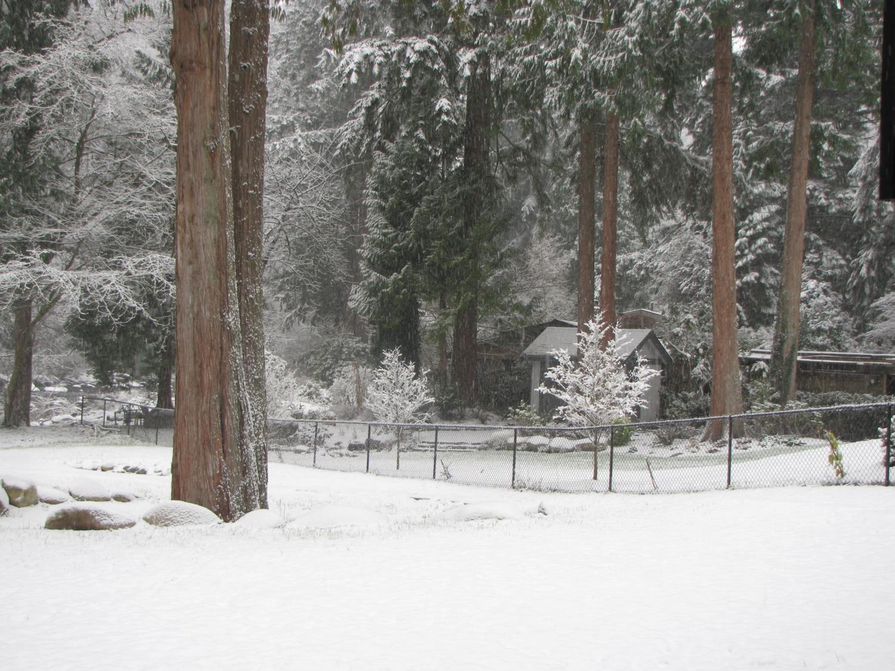 Riverfront Bed and Breakfast