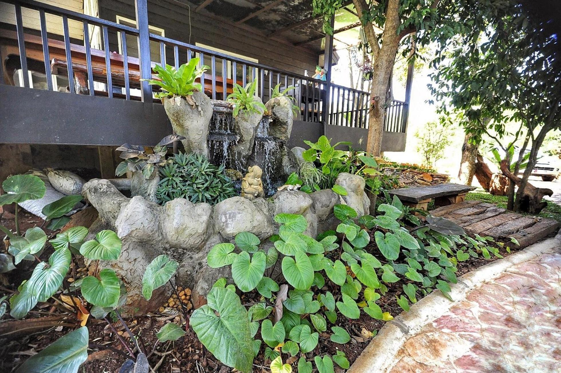 Photo 19