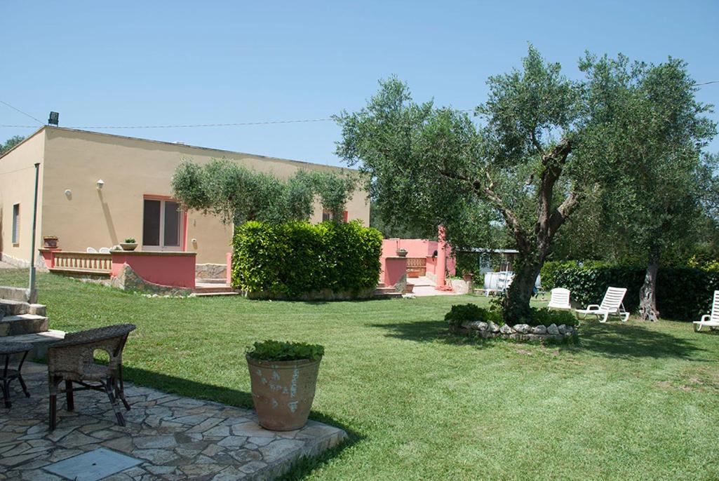 Photo 42