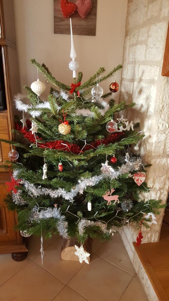 Photo 29