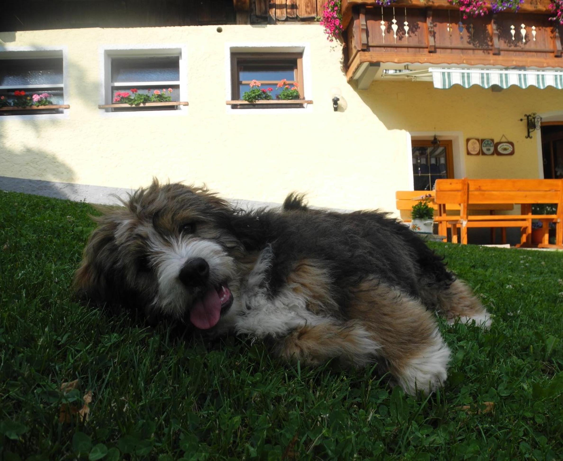 Photo 24