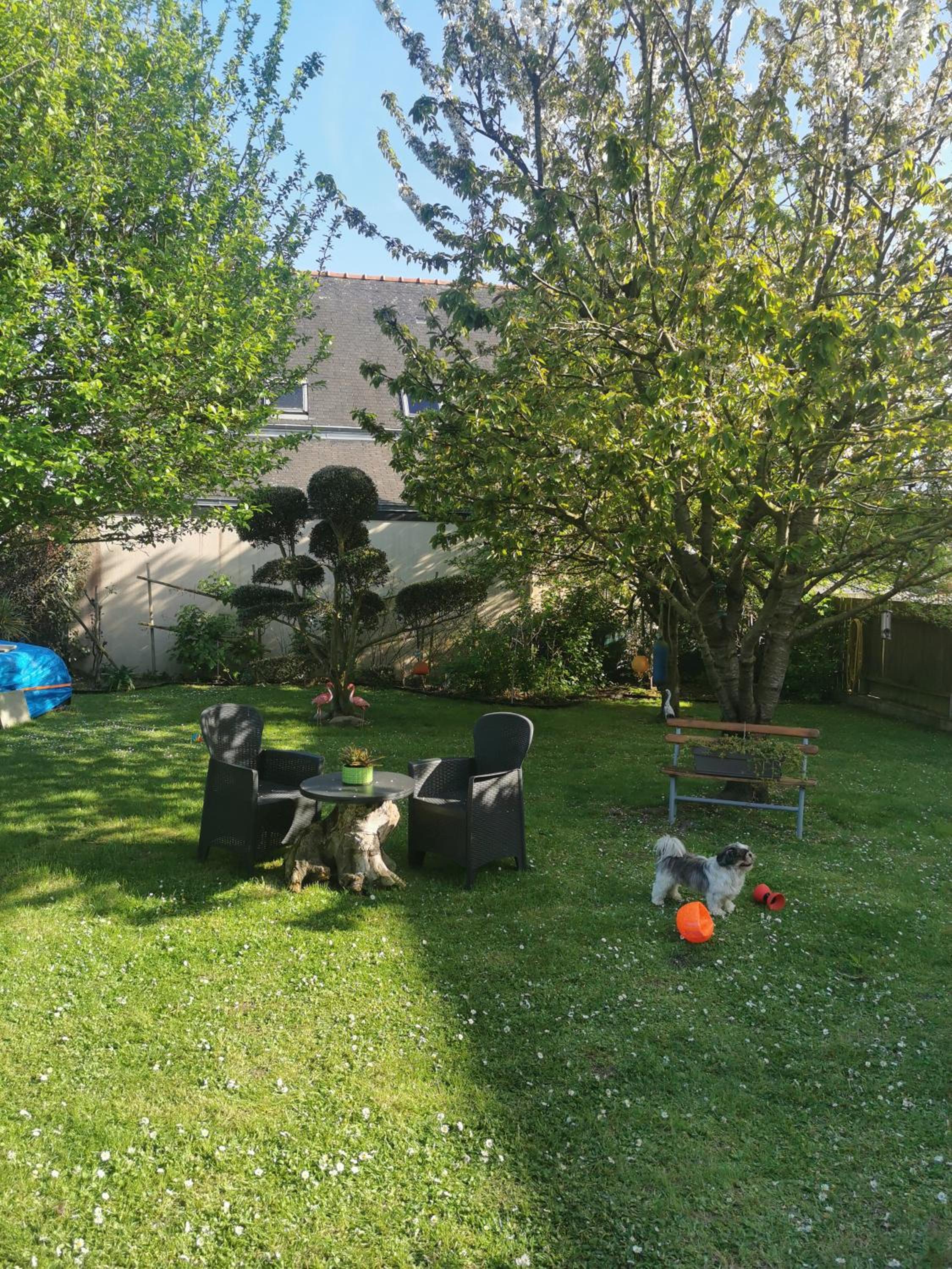 Photo 22