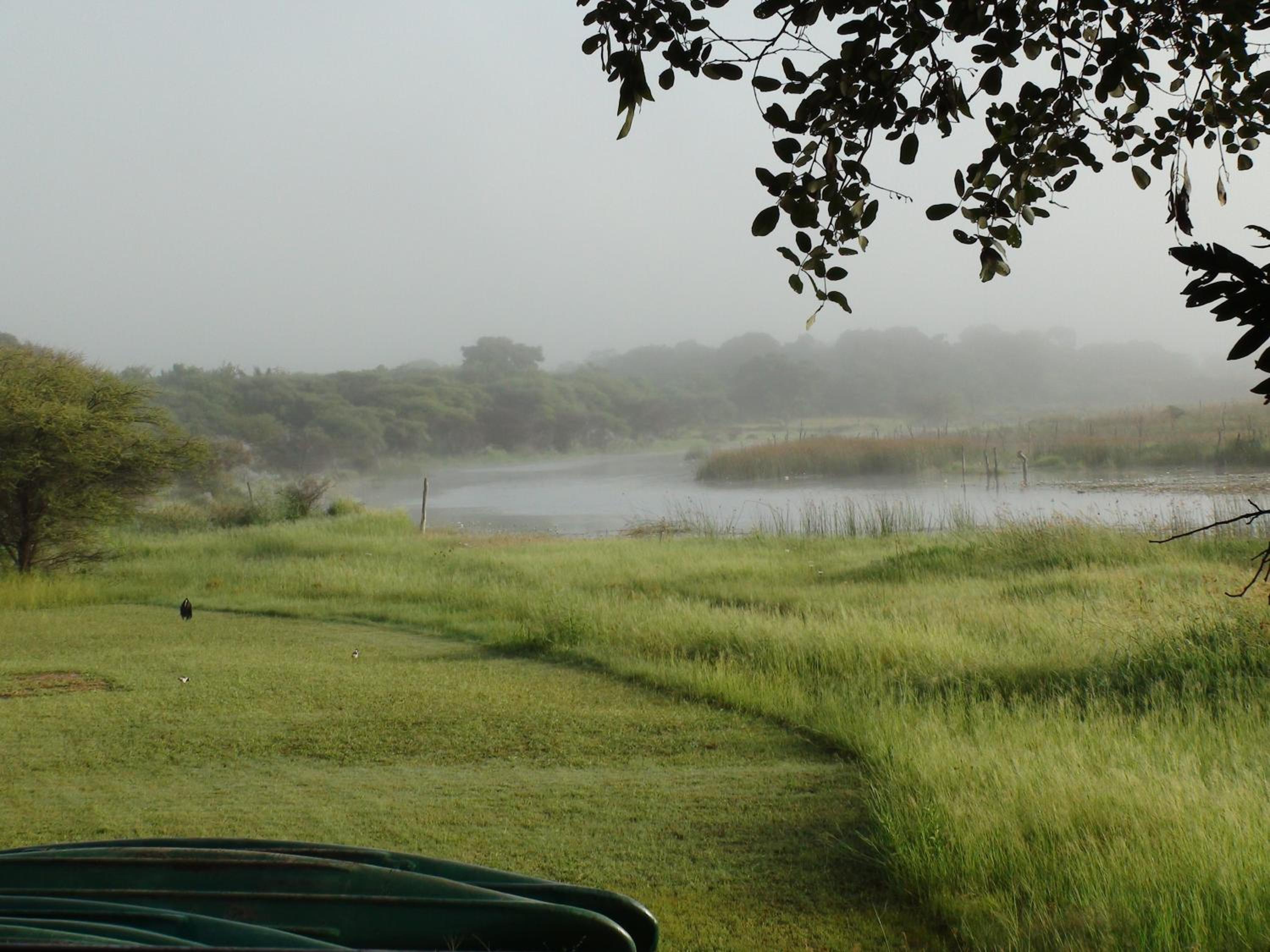 Island Safari Lodge
