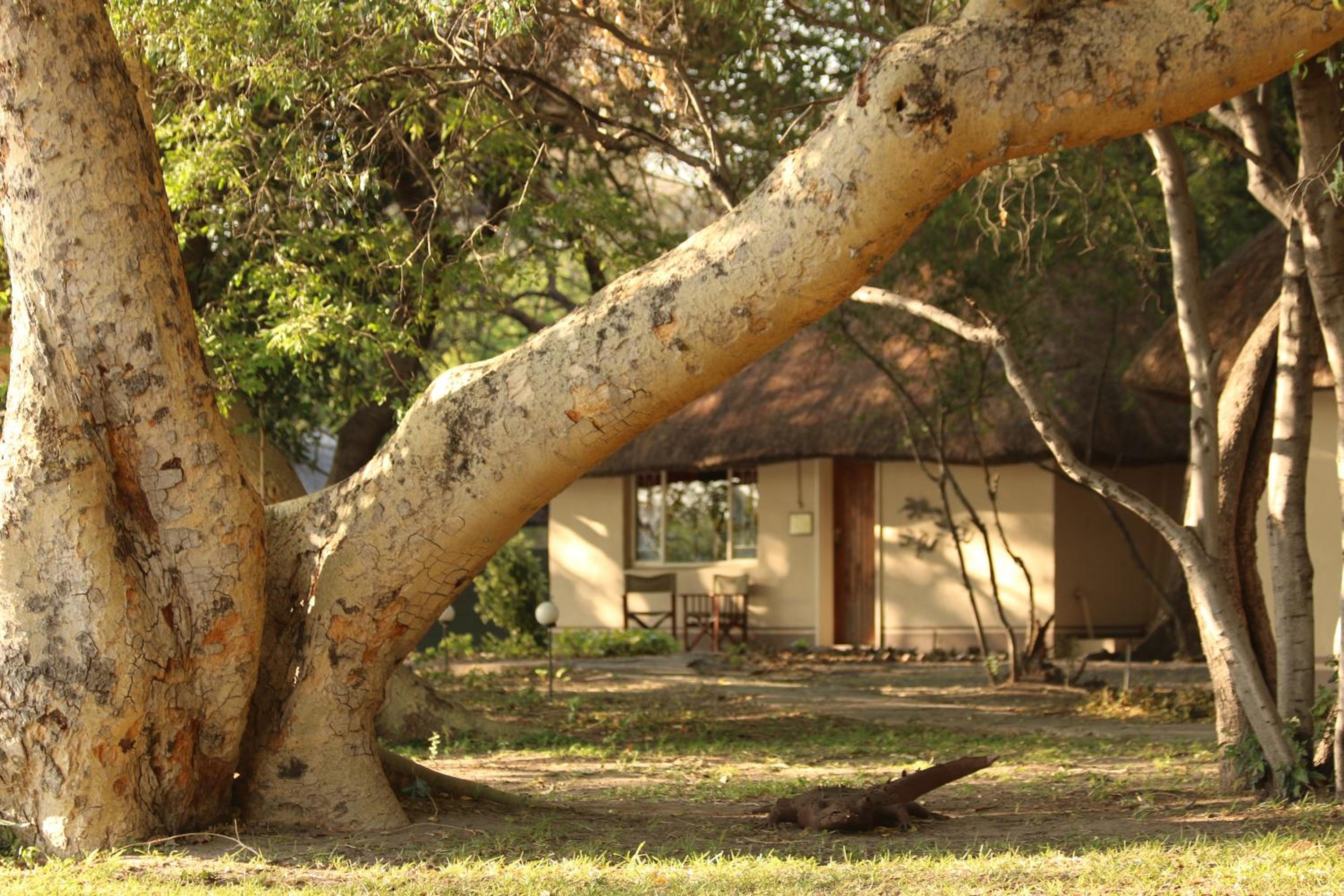Island Safari Lodge