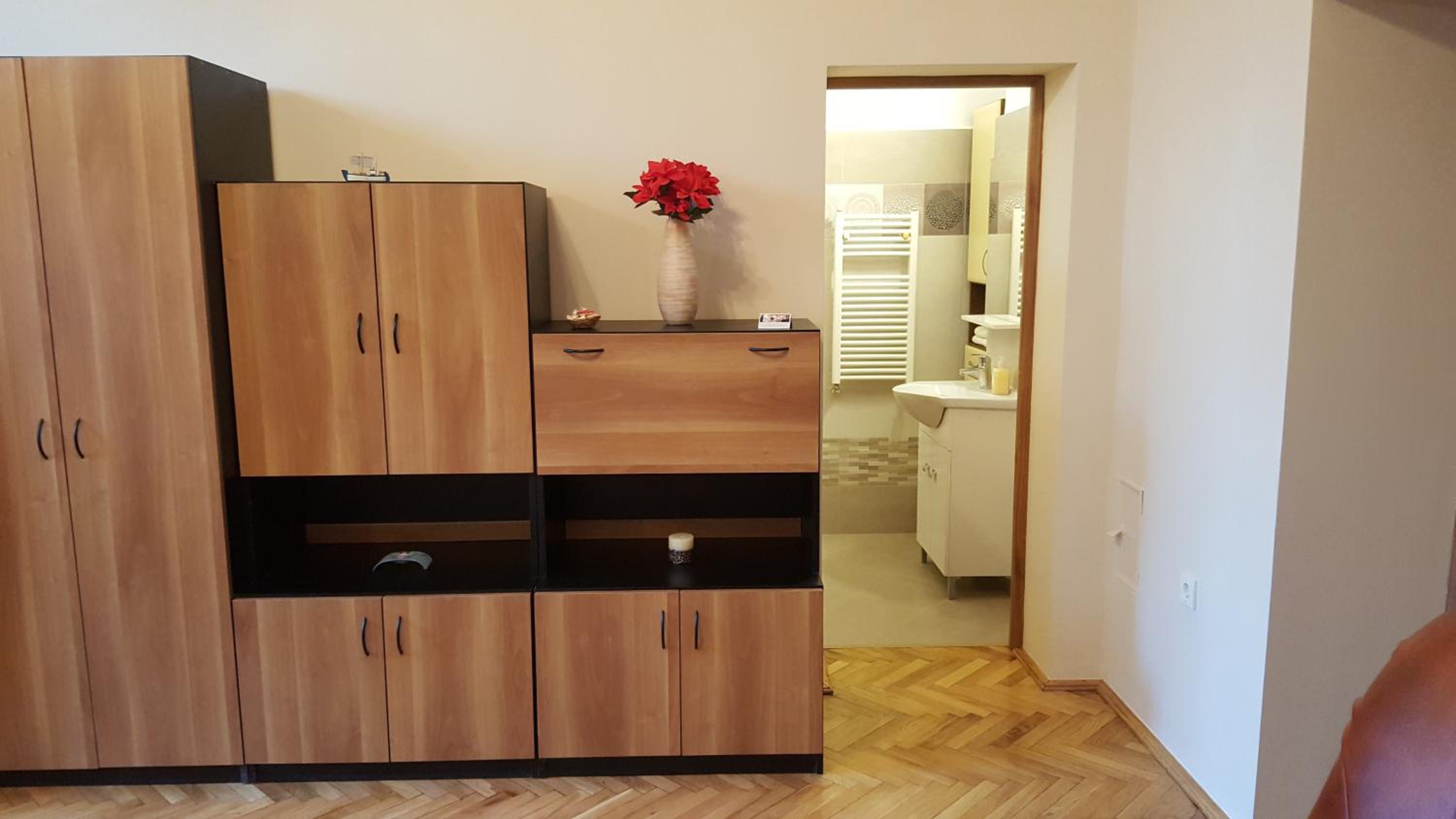 Satu Mare Apartments view 3