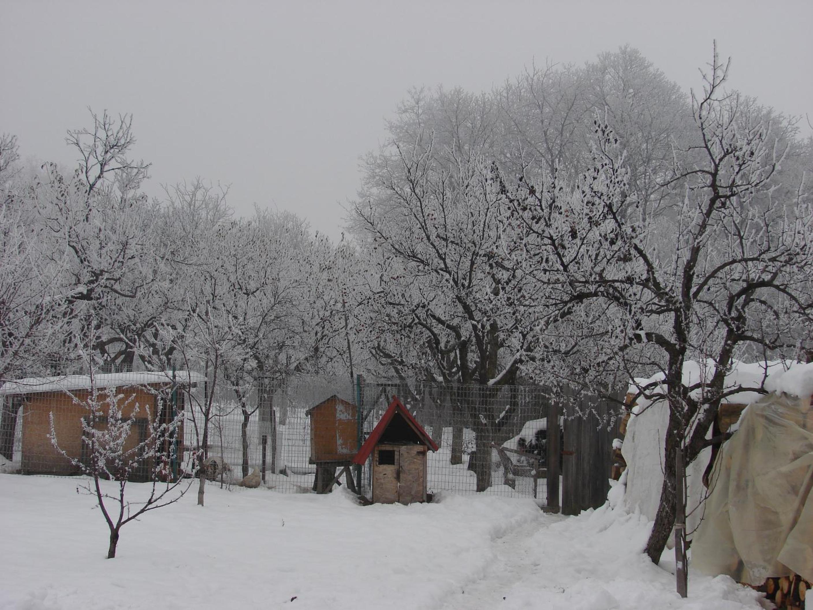 Photo 43