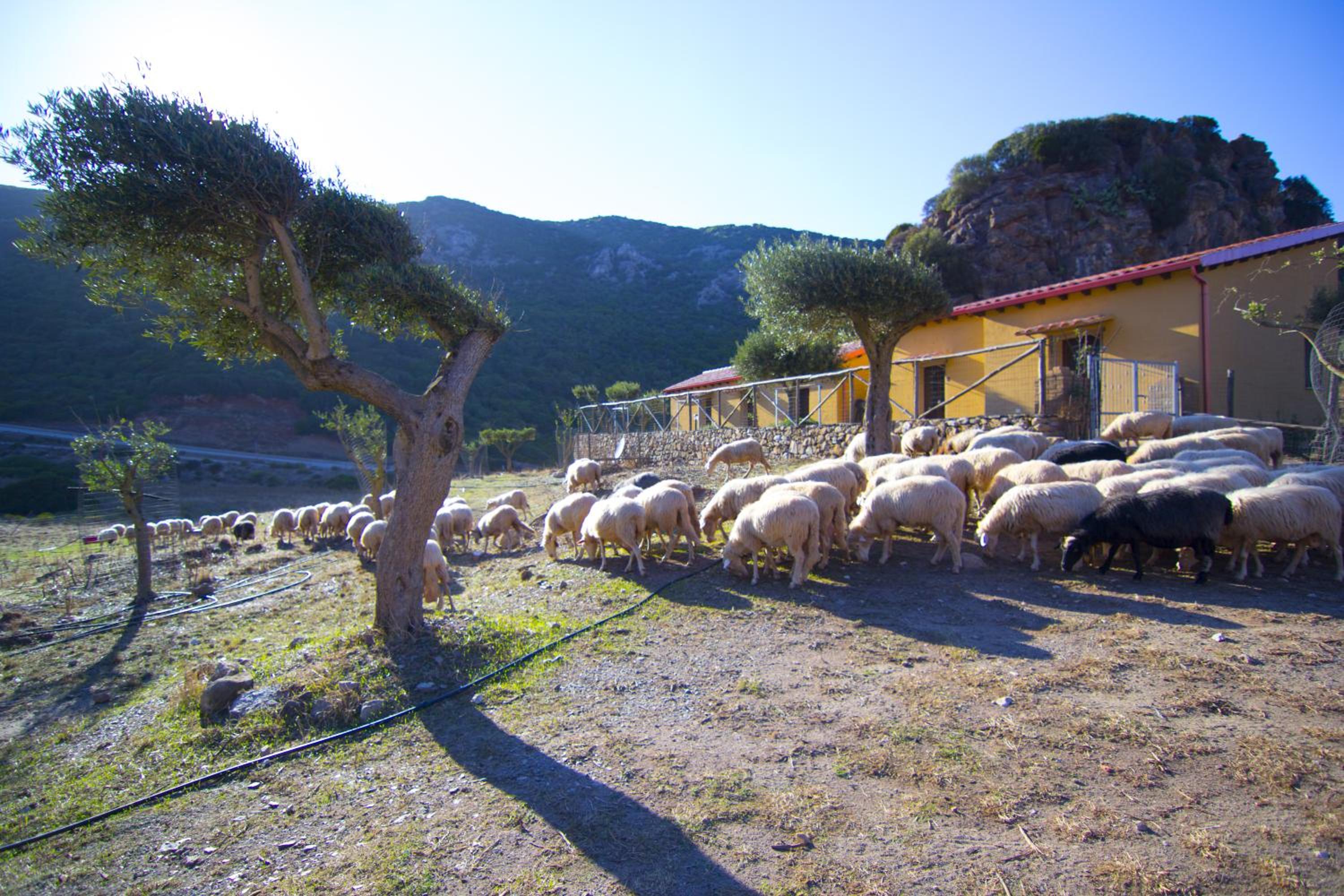 Agriturismo Sa Rocca