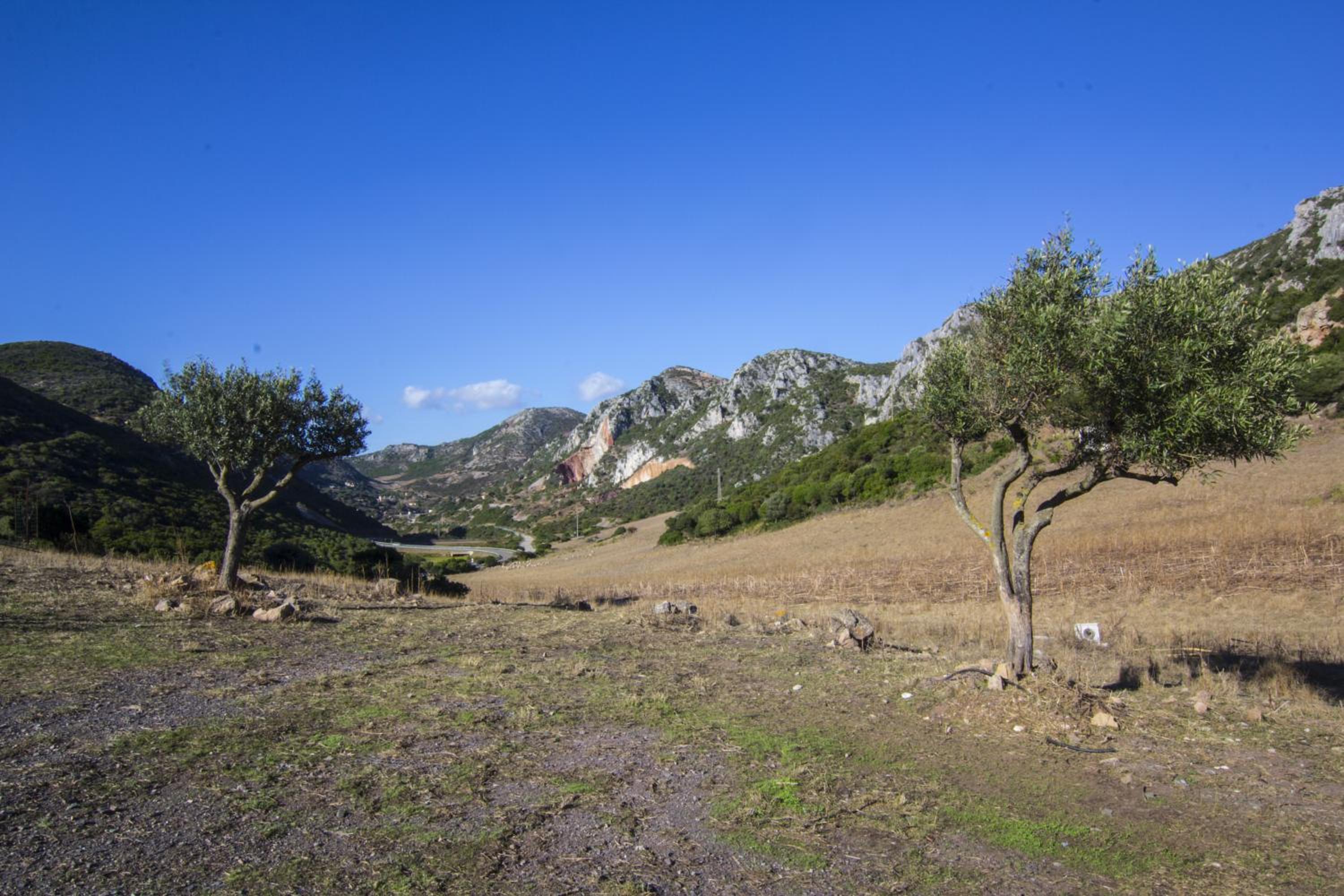 Agriturismo Sa Rocca