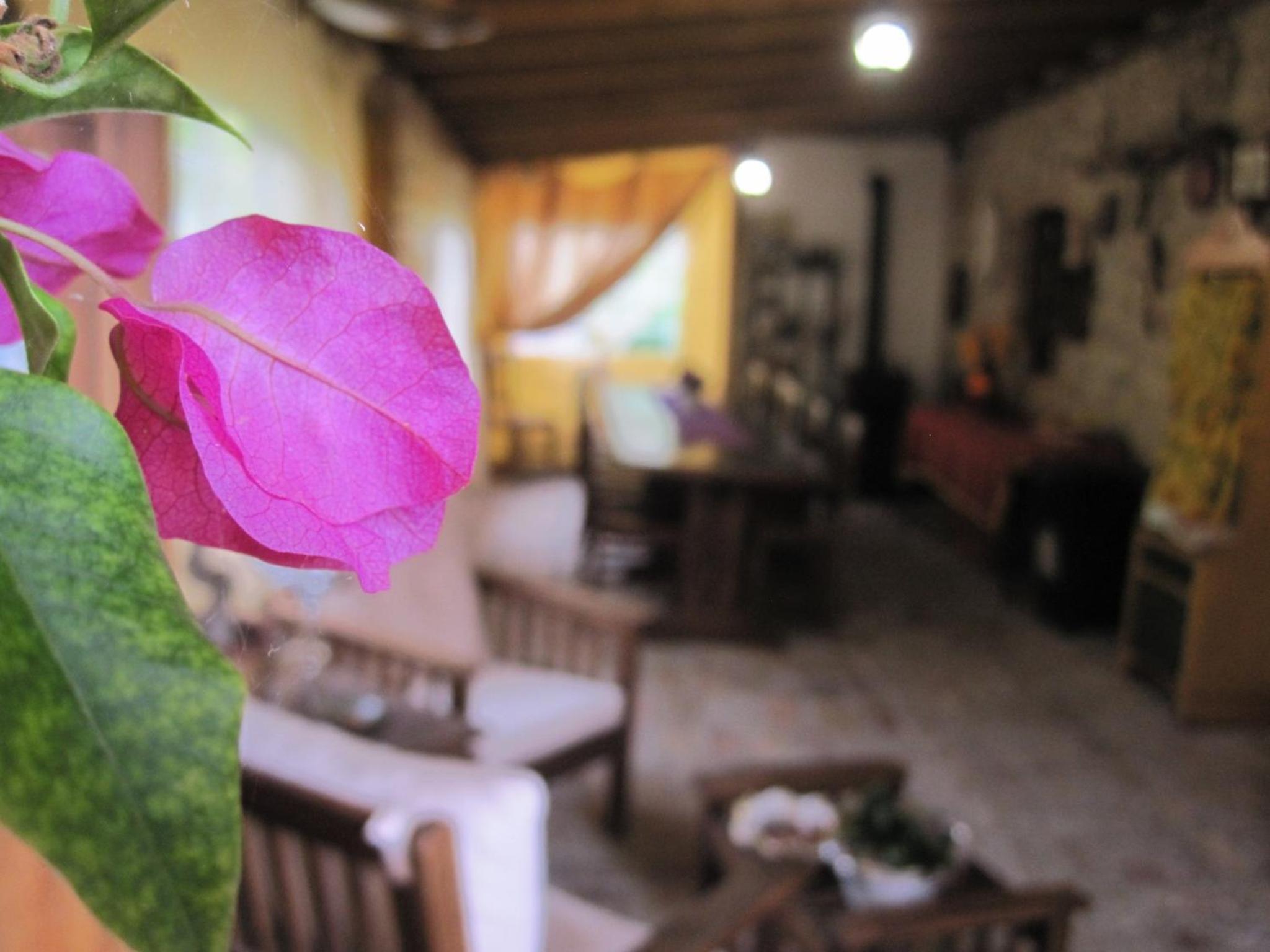 La Pietra Rara B&B