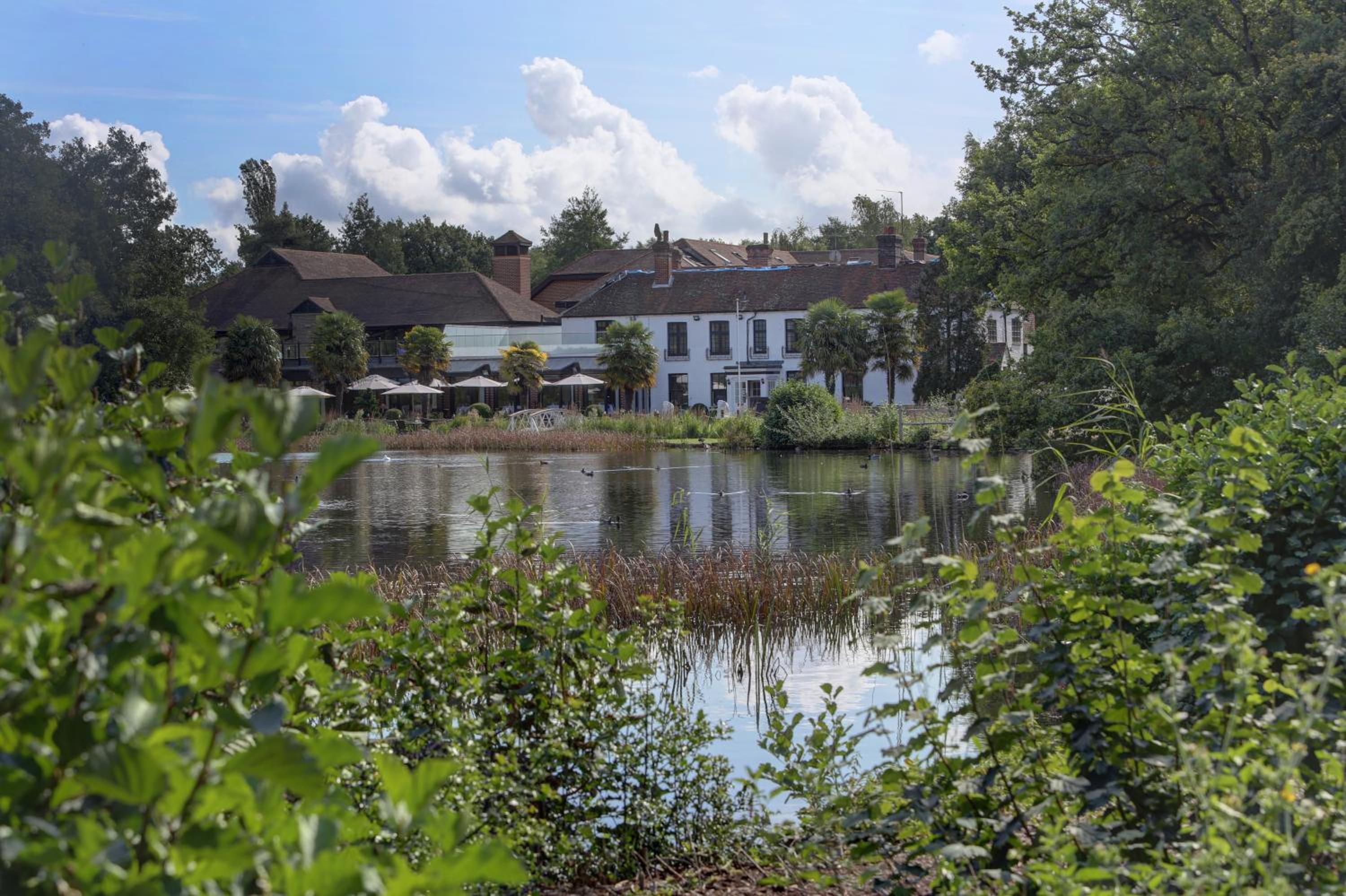 Farnham Vacations - Frensham Pond Country House Hotel  Spa - Property Image 1
