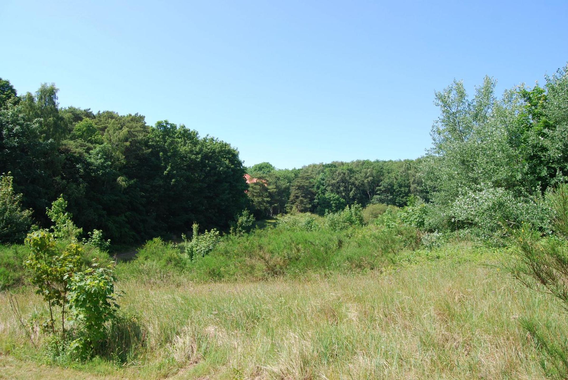 Ferienwohnung im Hochland
