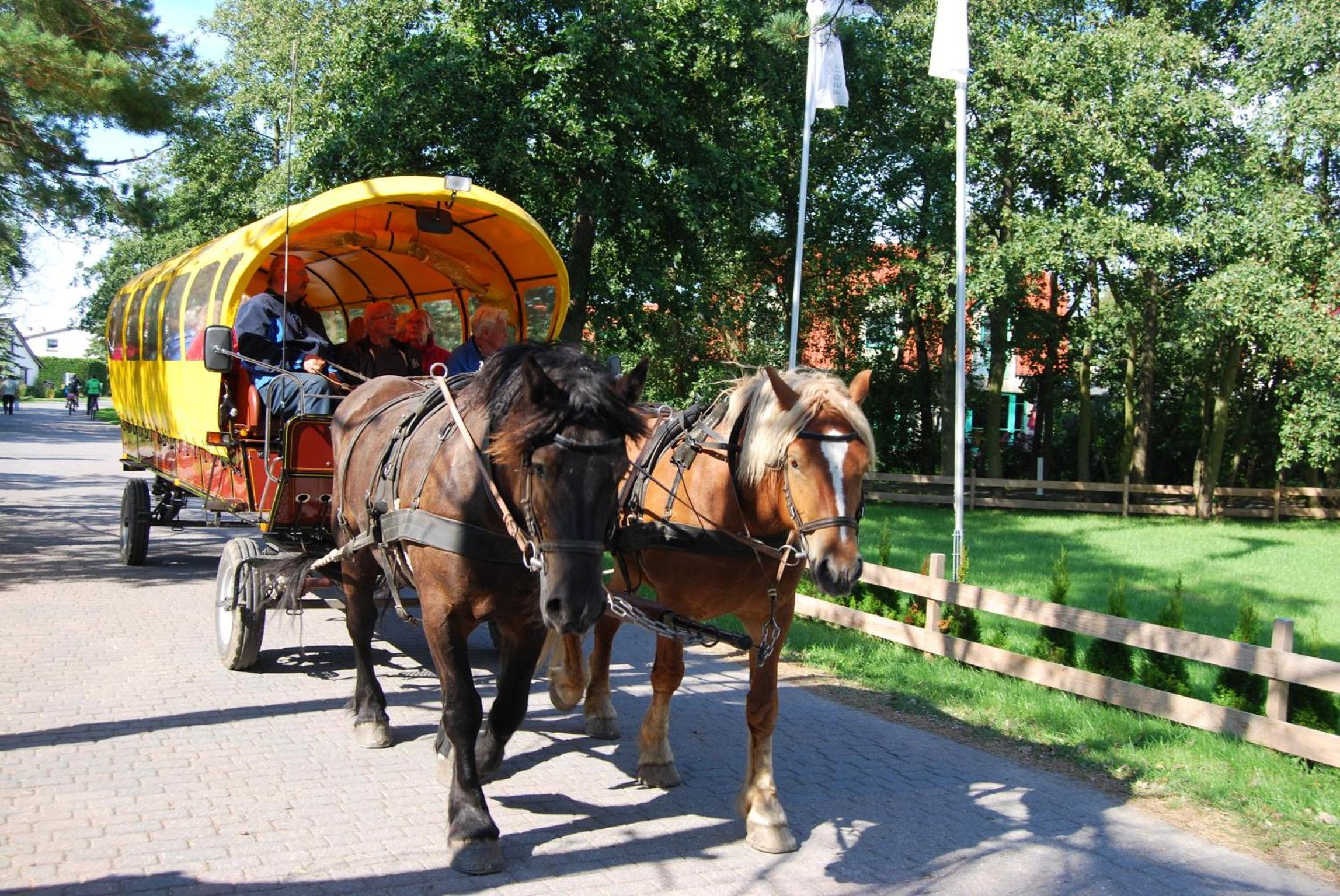 Ferienwohnung im Hochland