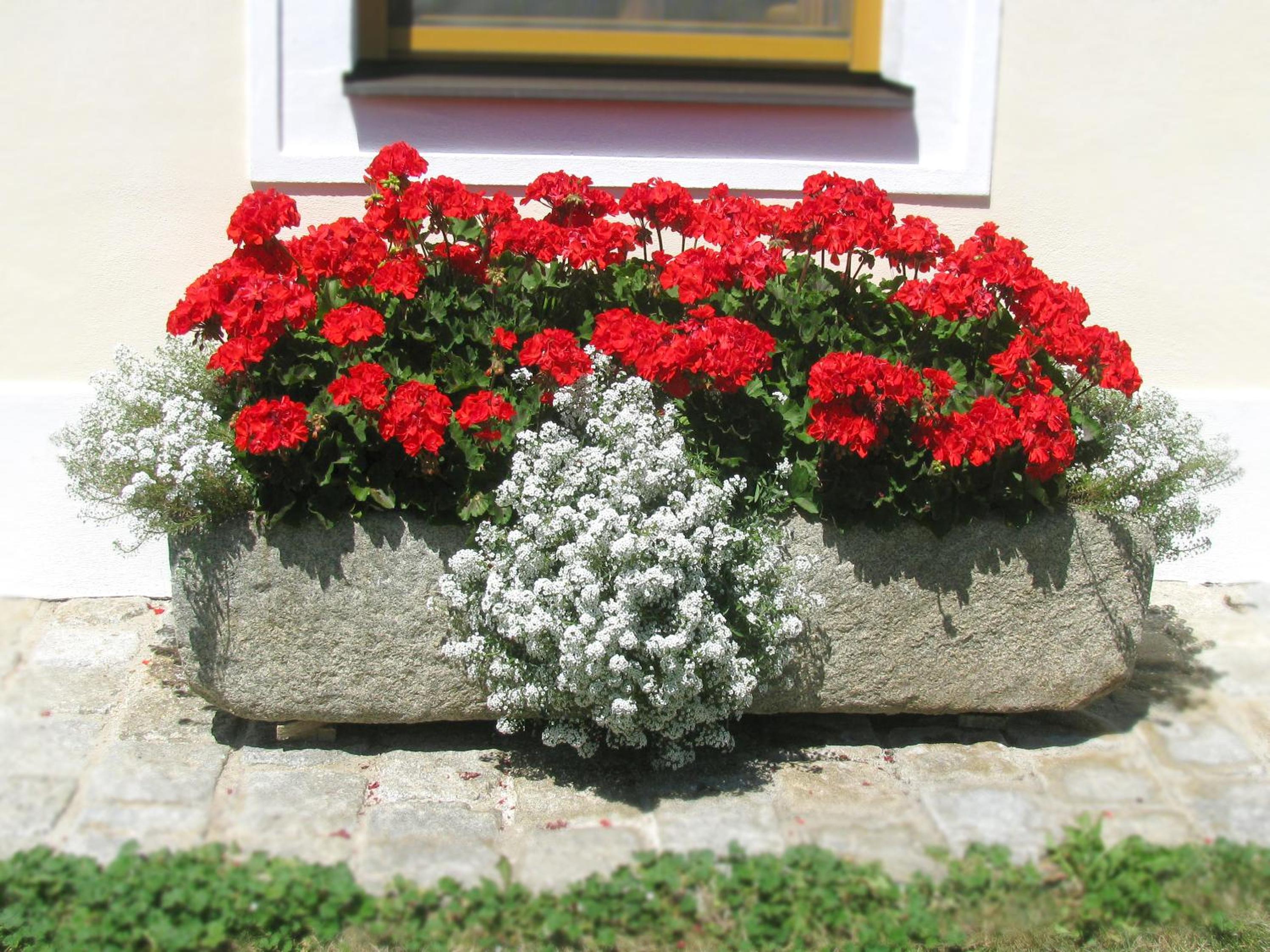 Frühstückspension Herzog zu Laah