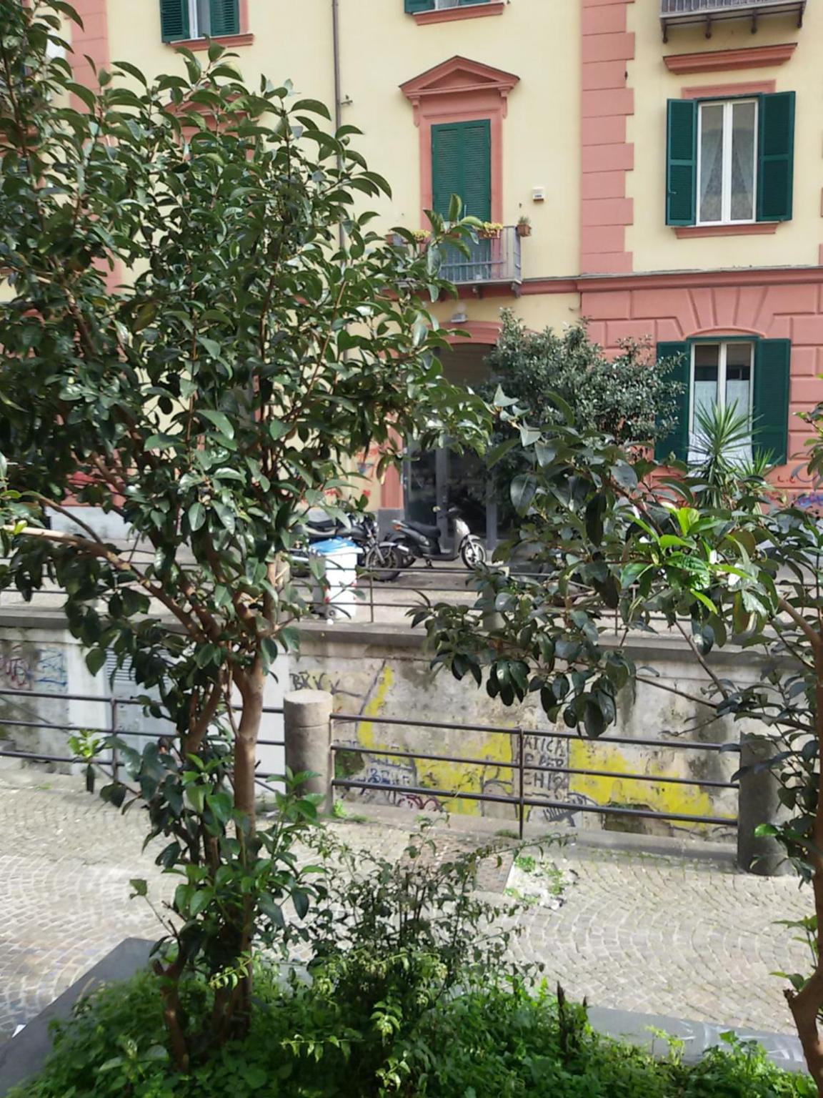 At Home Lettieri
