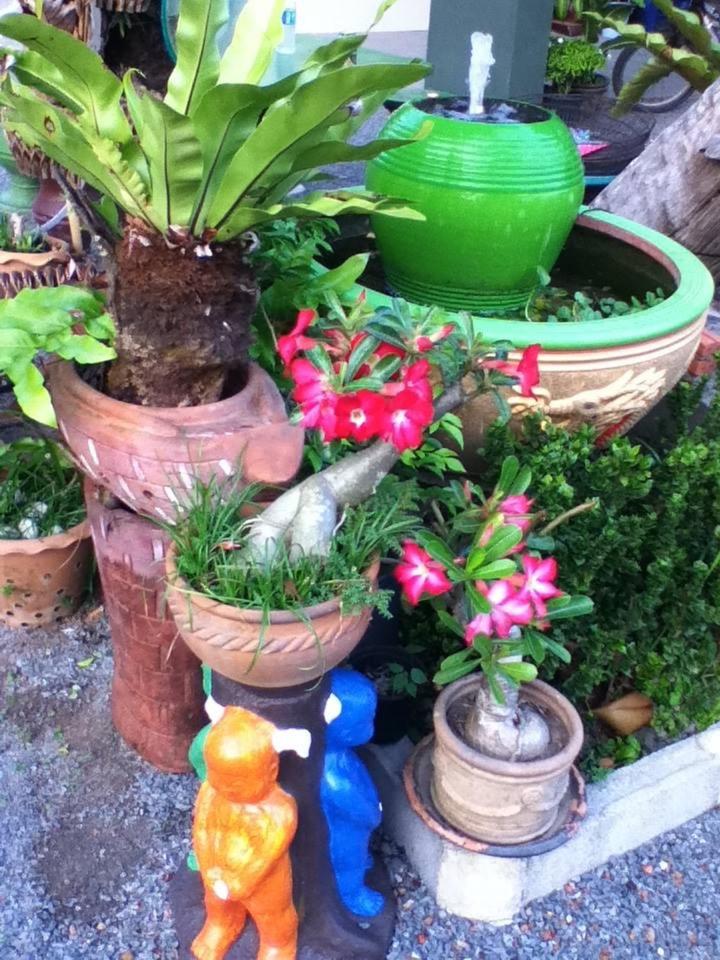 Bai Pai Resort