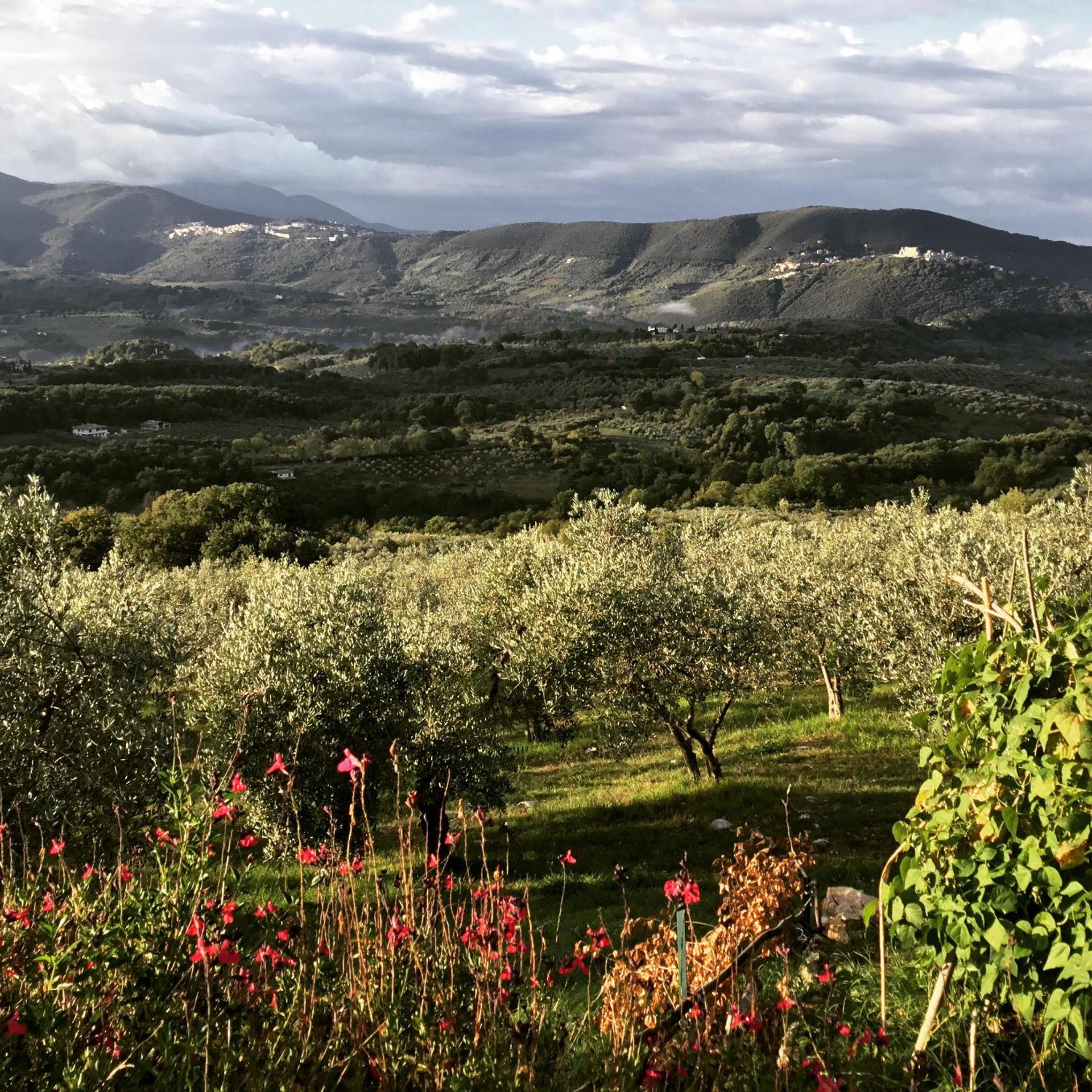 B&B da Odila view 3