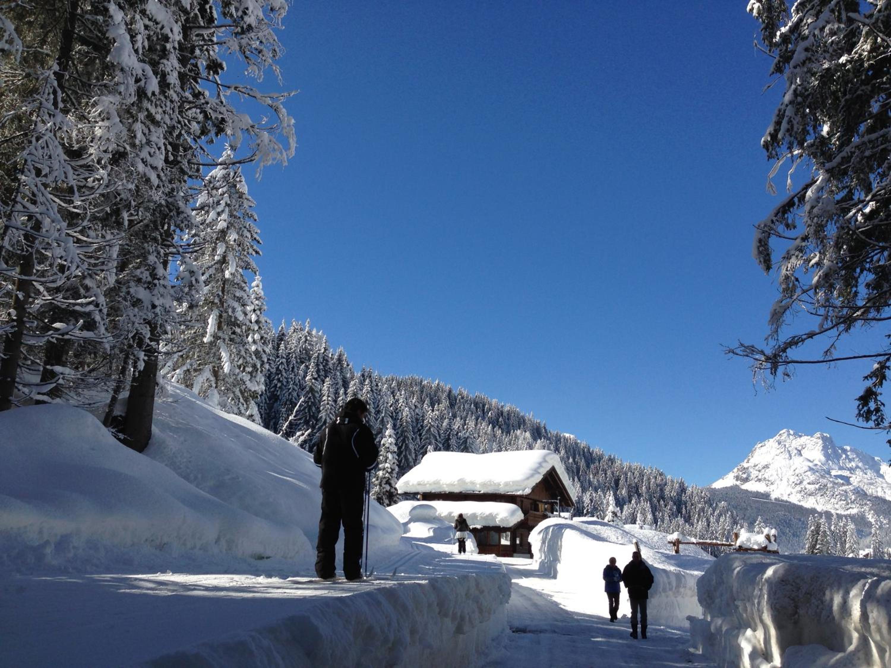 Eirl DOLOMITES Retreat Sappada