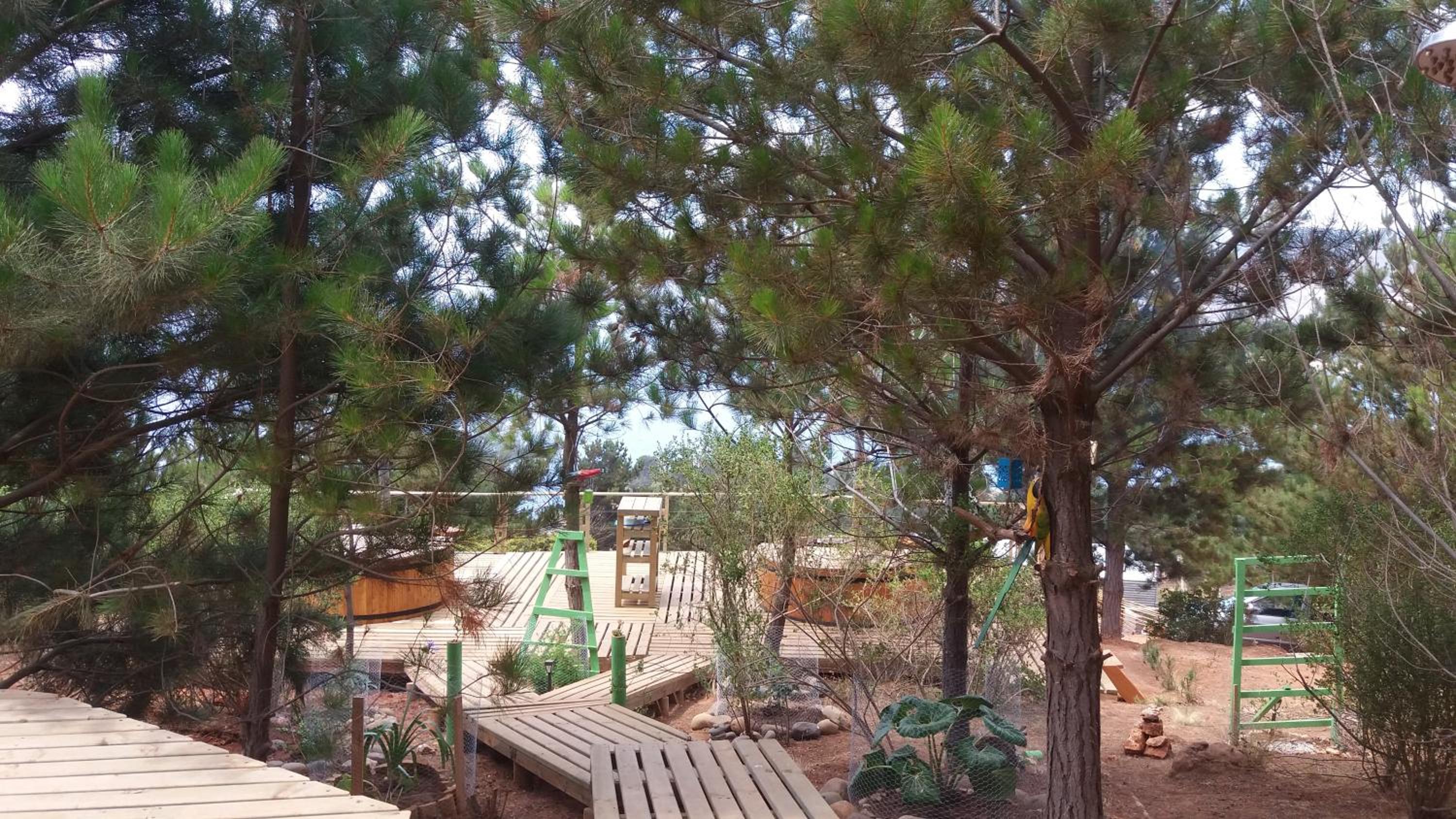 Cabañas & SPA Carilafquen