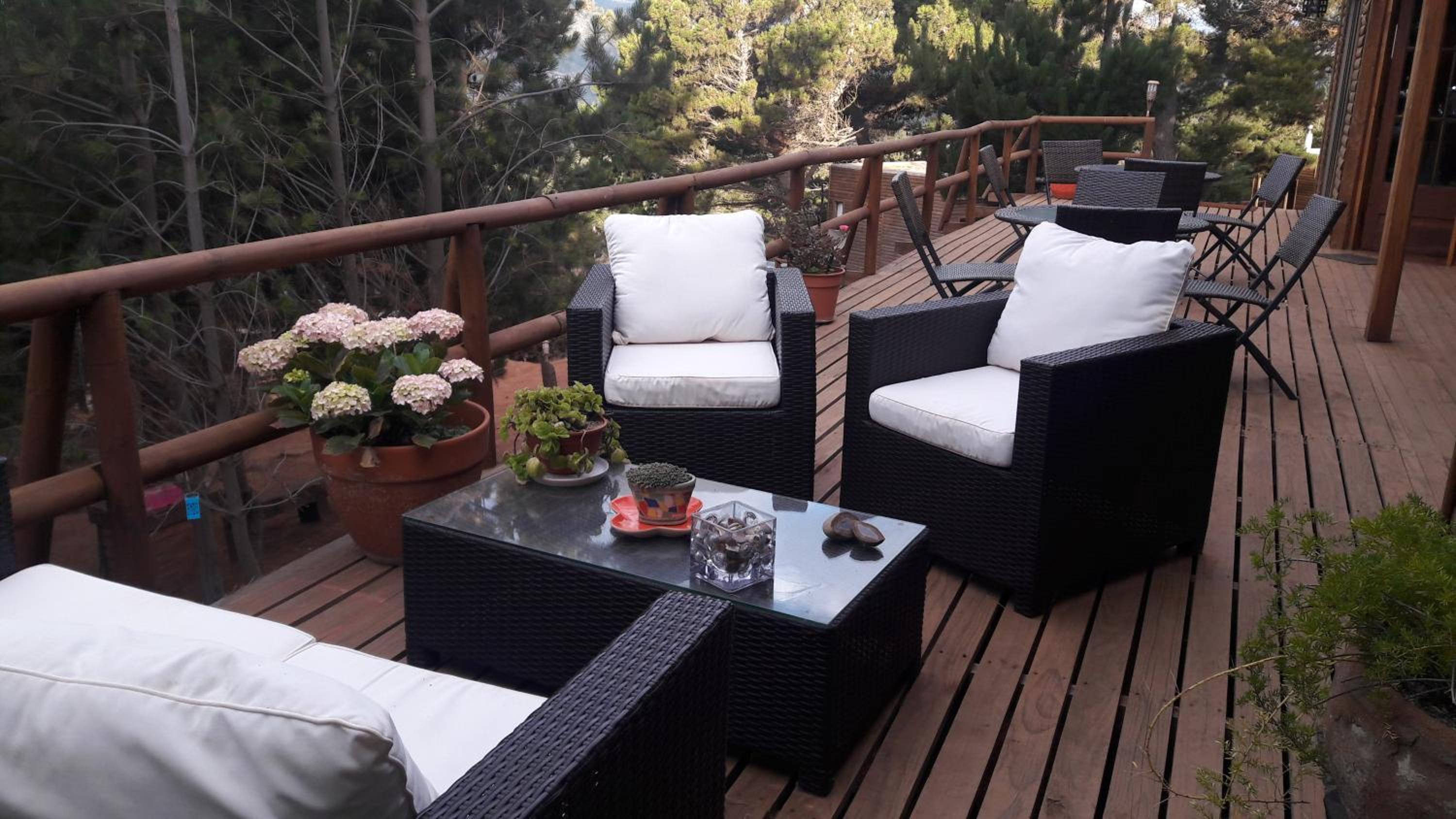 Cabañas & SPA Carilafquen