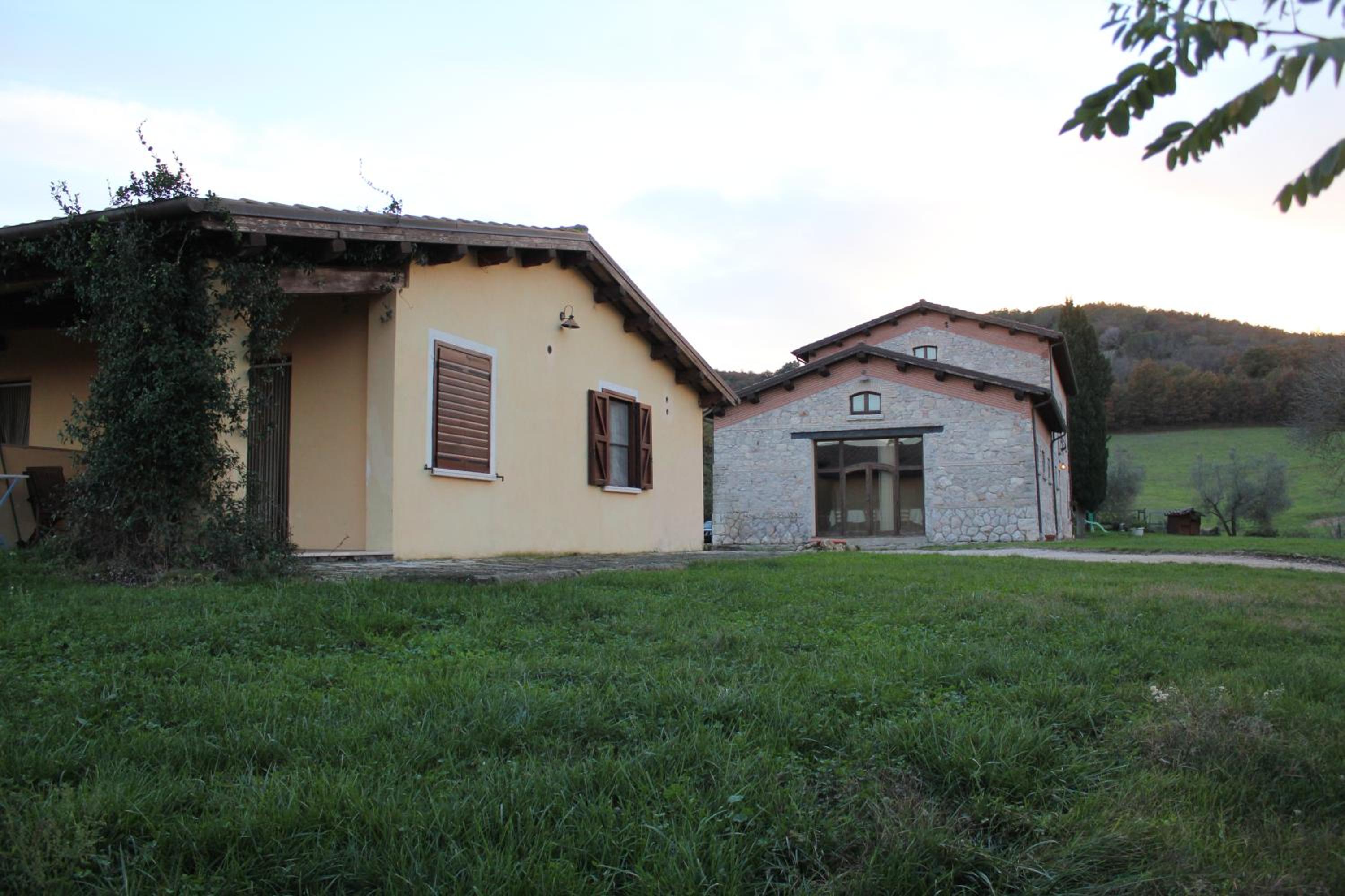 Photo 44