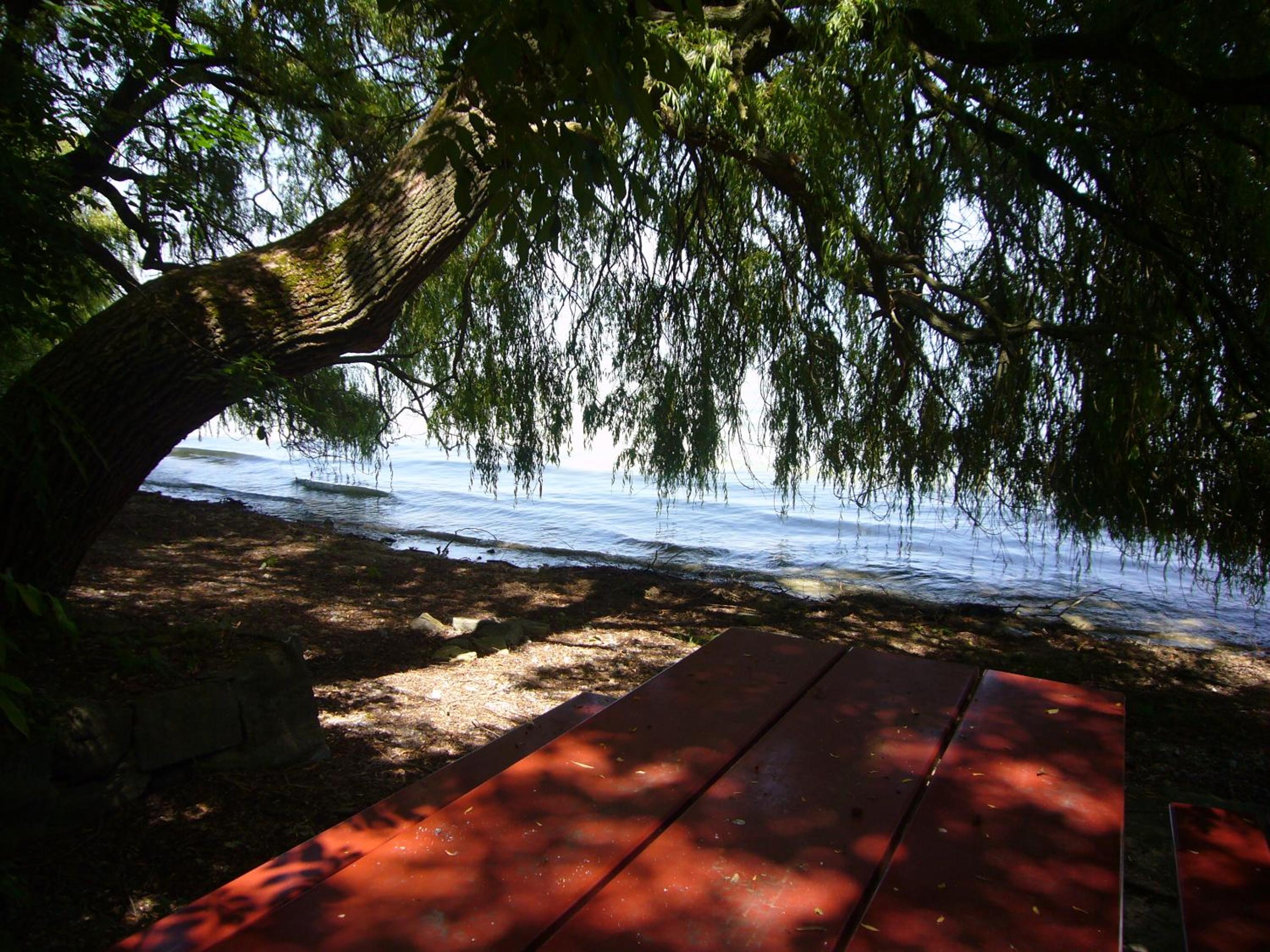 Reni's Oase am Bodensee
