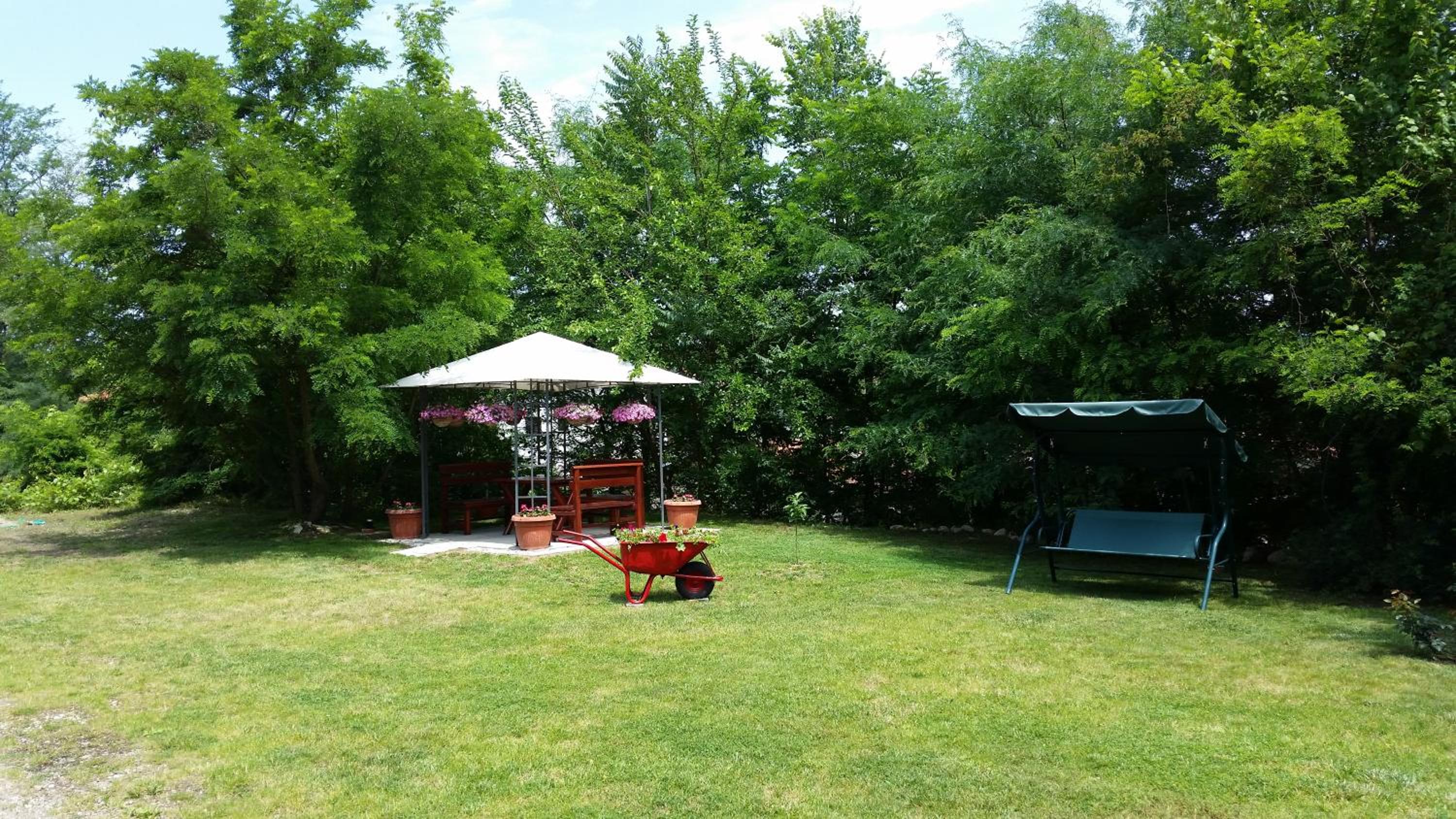 Photo 45