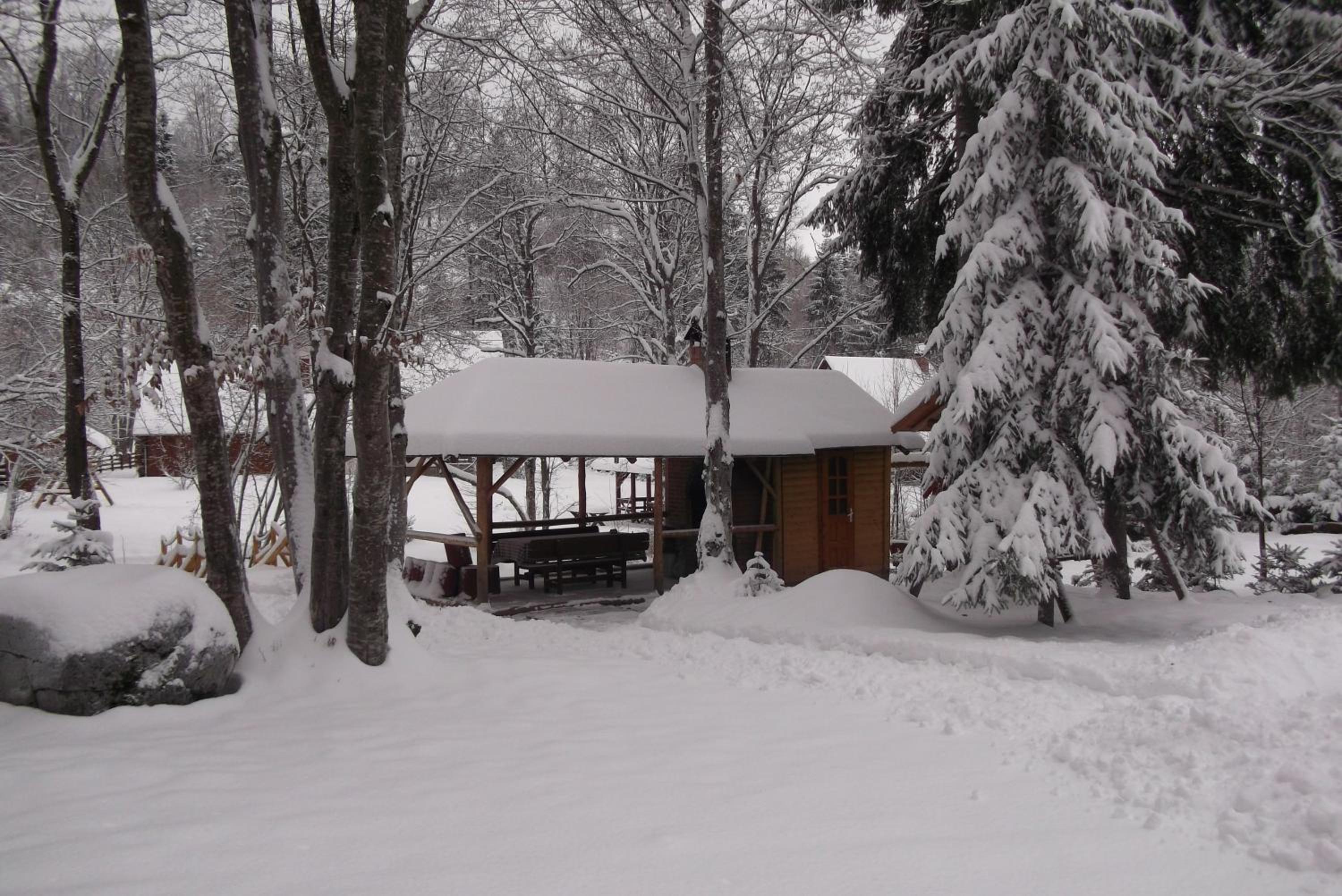 Photo 8