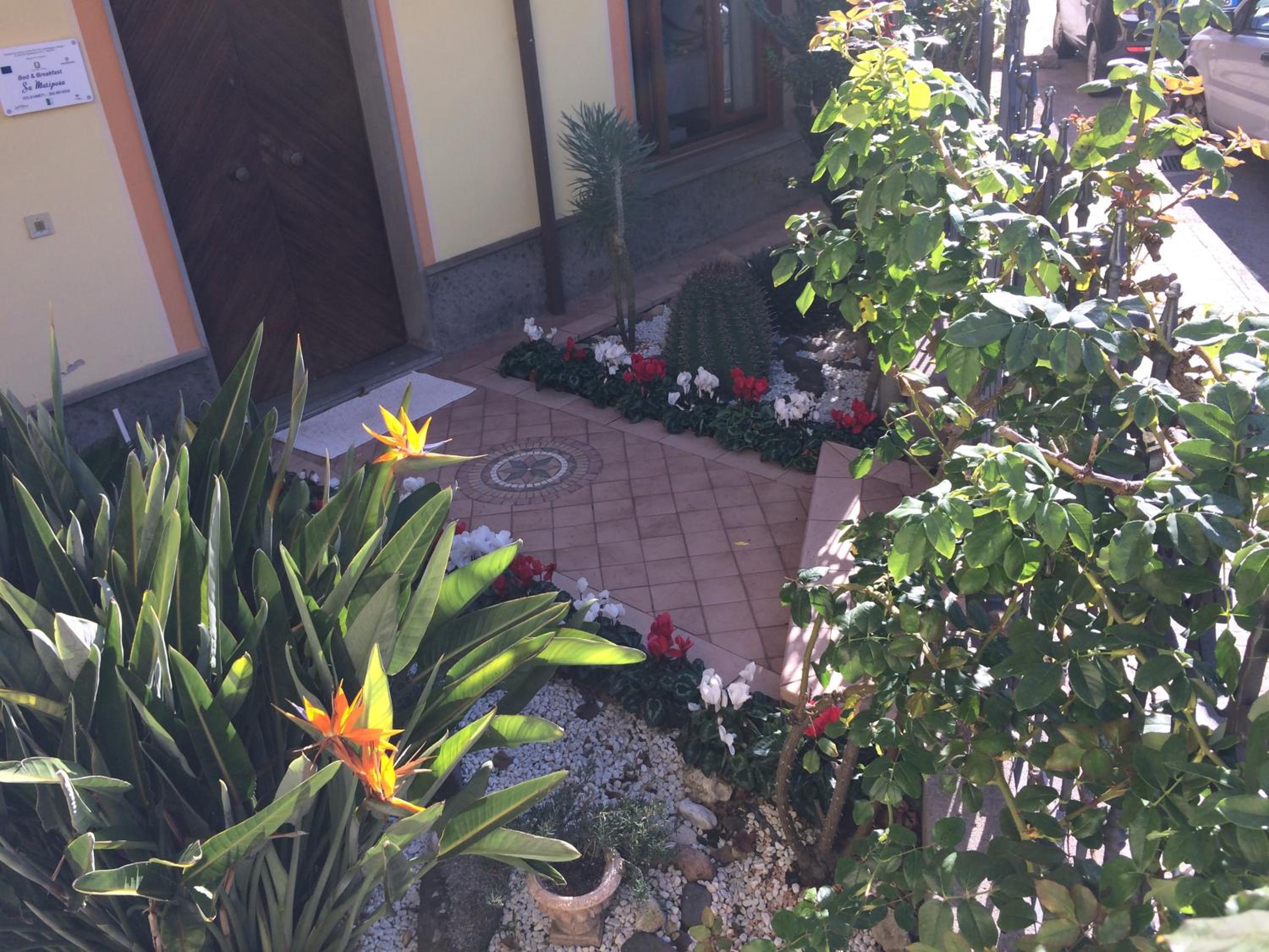Sa Mariposa en Ittiri — other