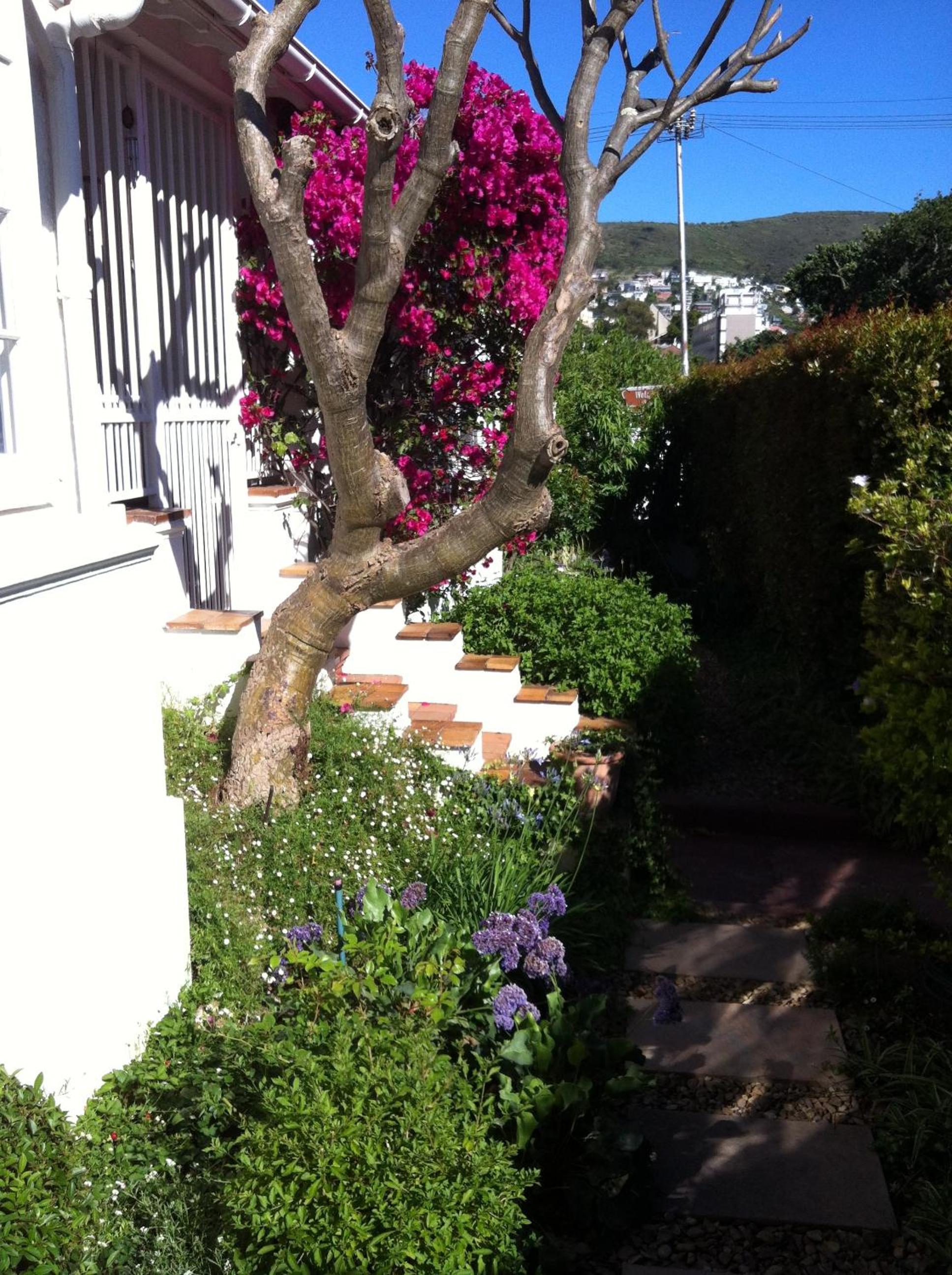 5 Camp Street Guesthouse & Self-catering