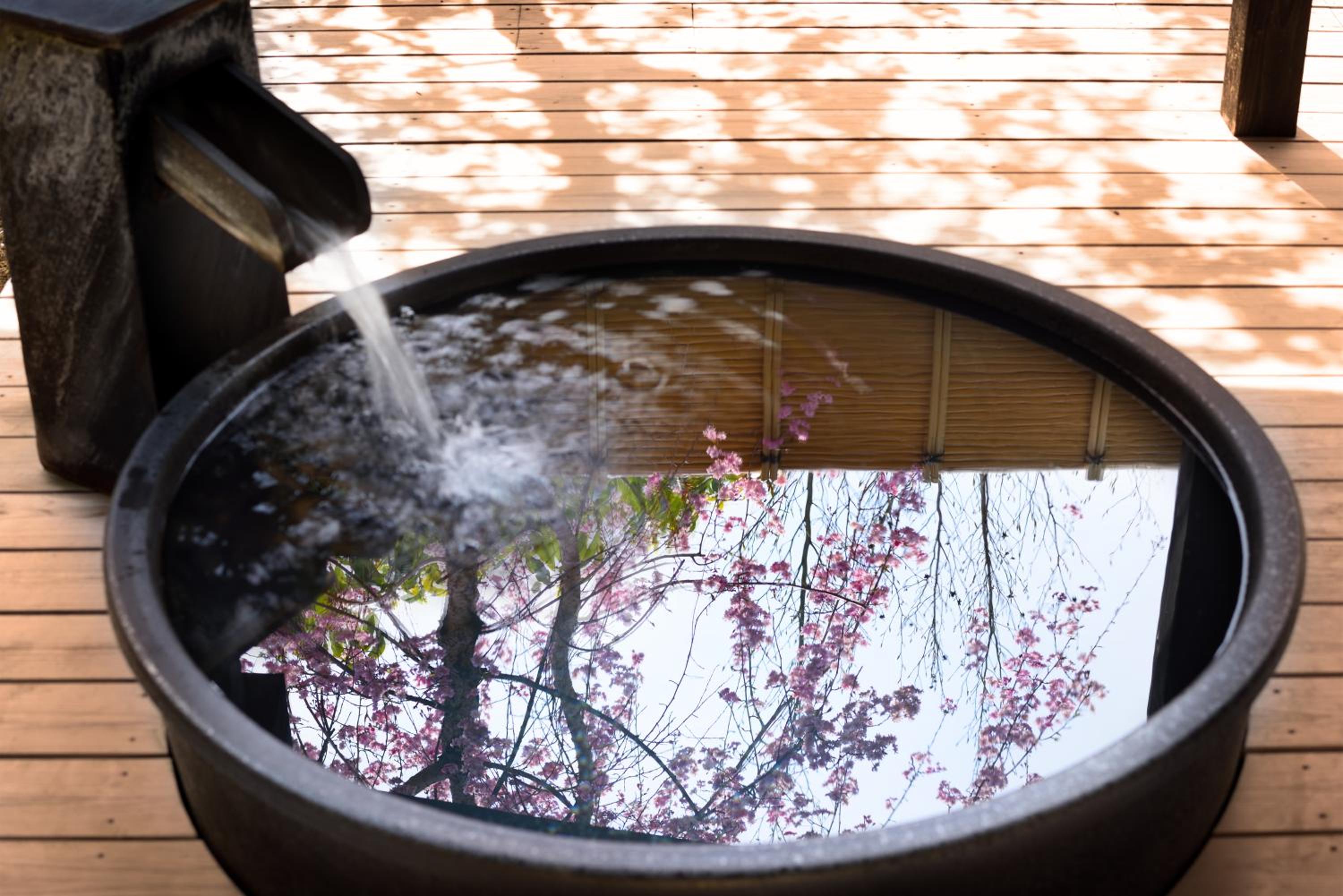 Ichiraku tendo spa & brewery