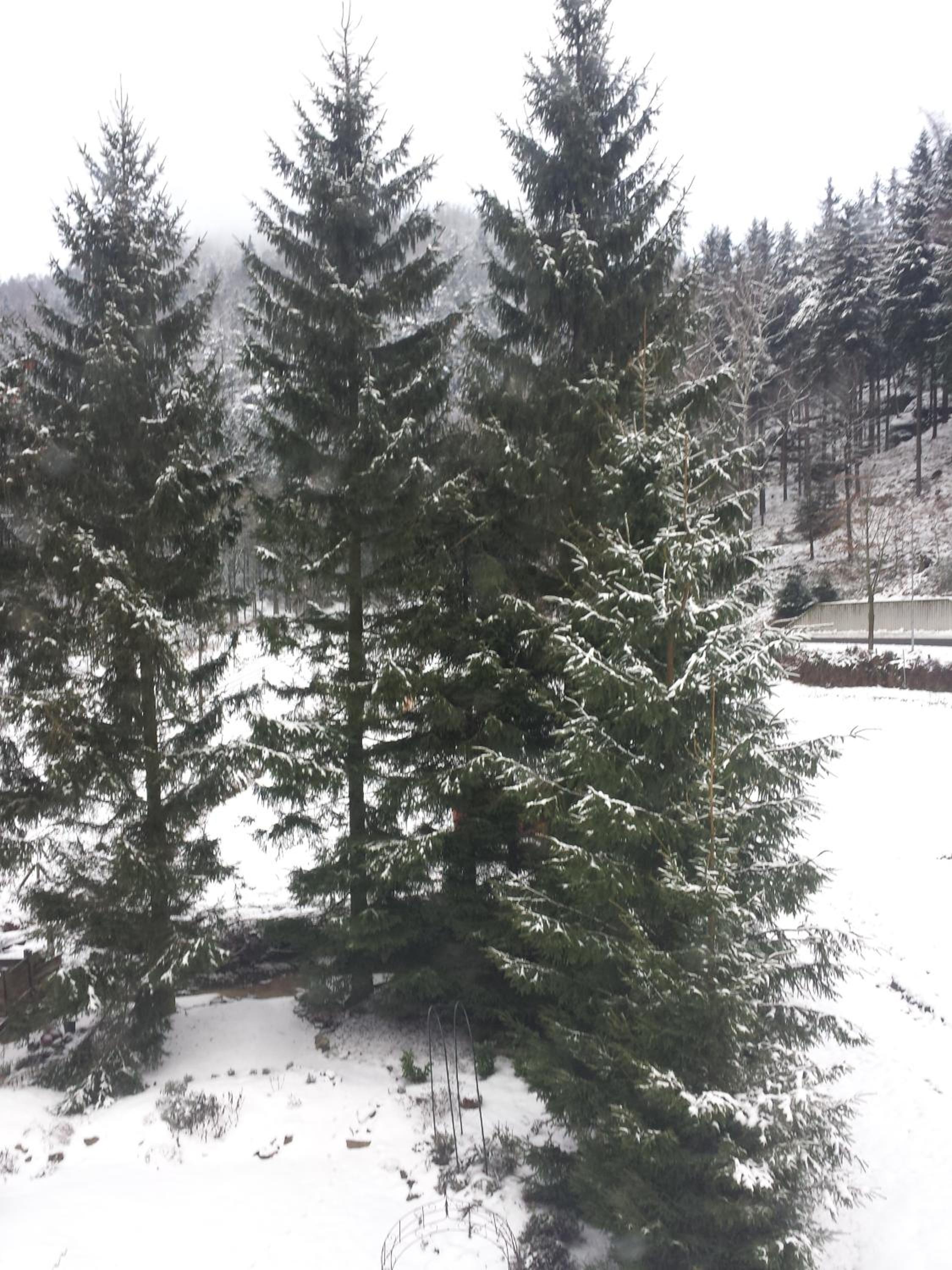 Holzwerk Oybin view 4
