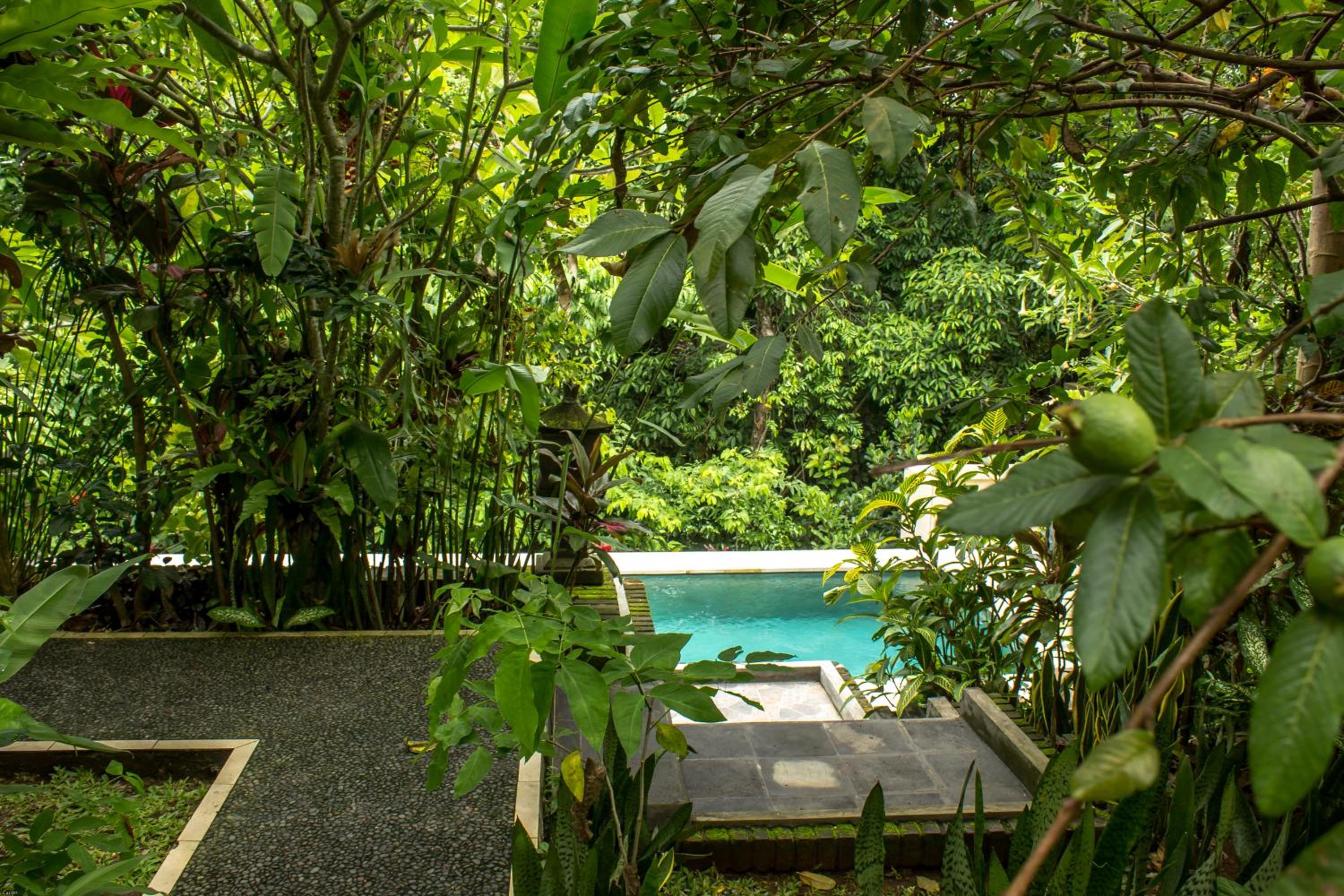 Bismajaya Bungalow