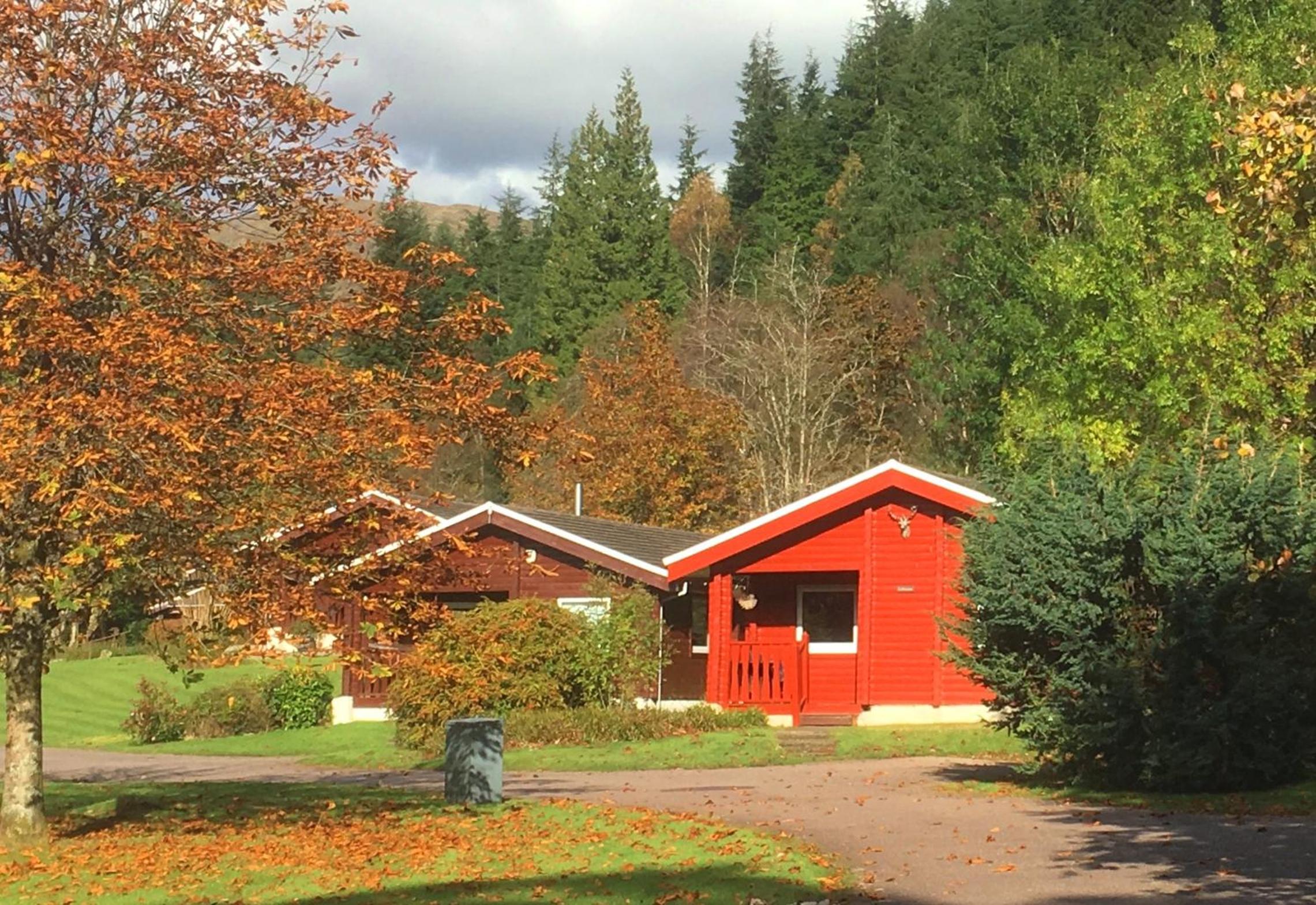 Pucks Glen Lodges - Cosy Lodges in a Woodland Setting