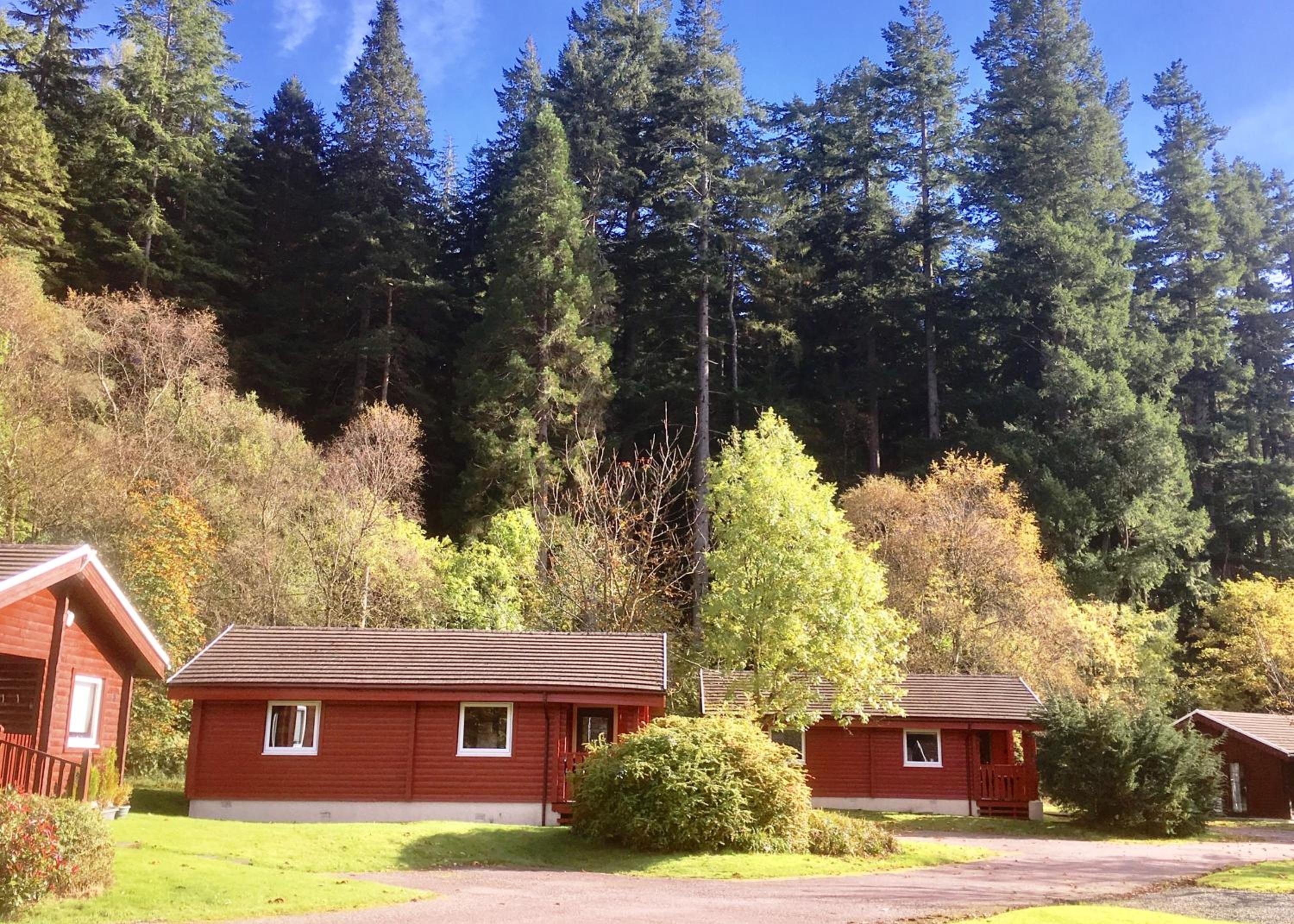 Pucks Glen Lodges - Cosy Lodges in a Woodland Setting