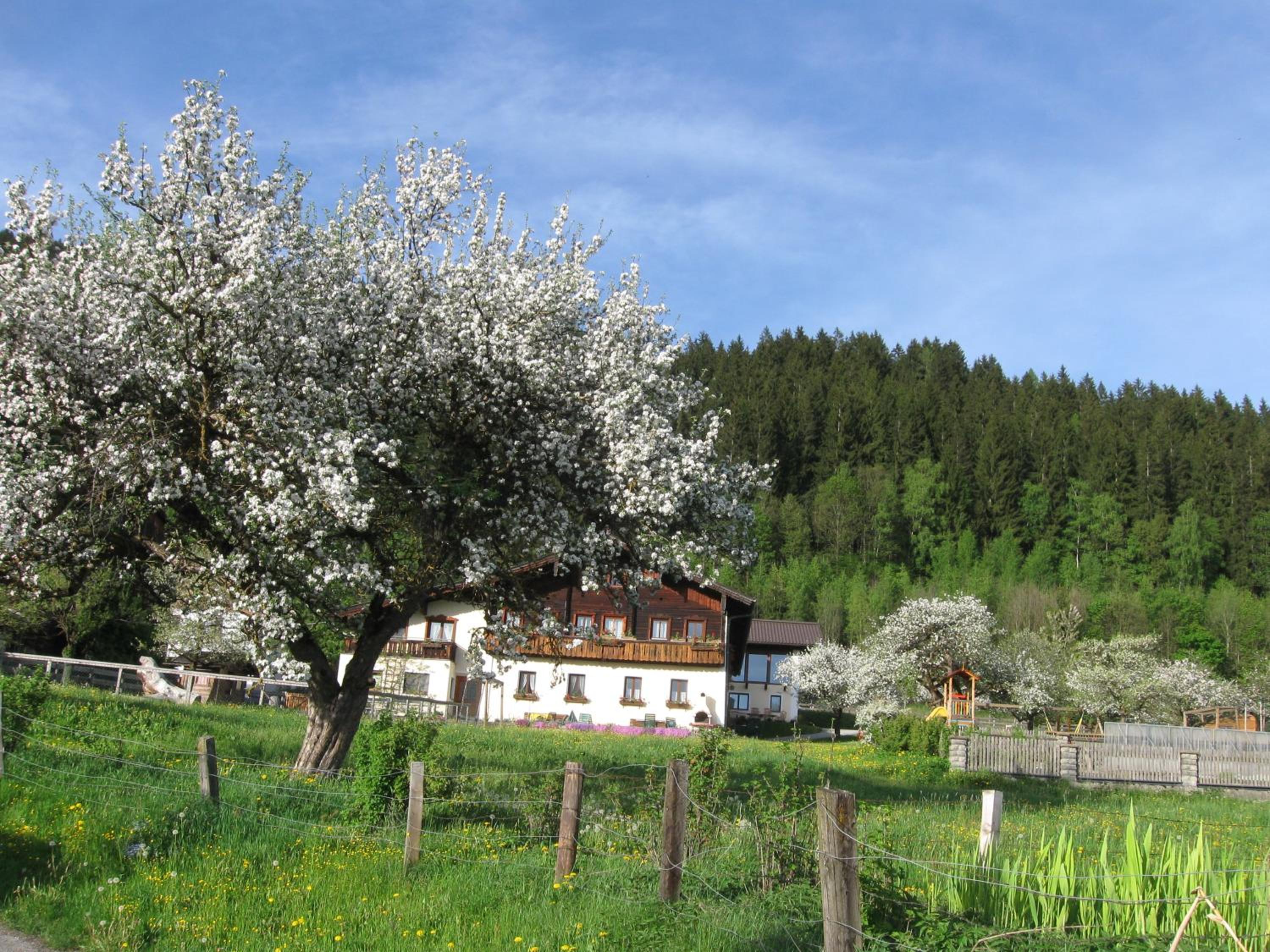 Bauernhofurlaub Sinnhubgut