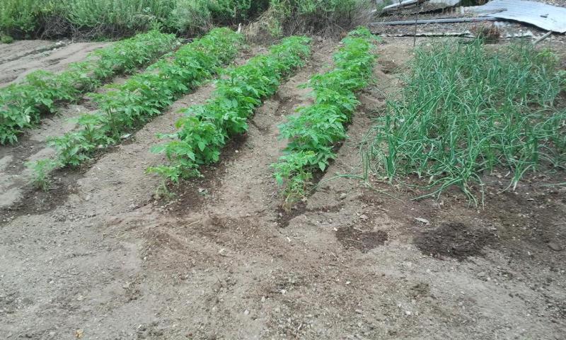 Photo 11